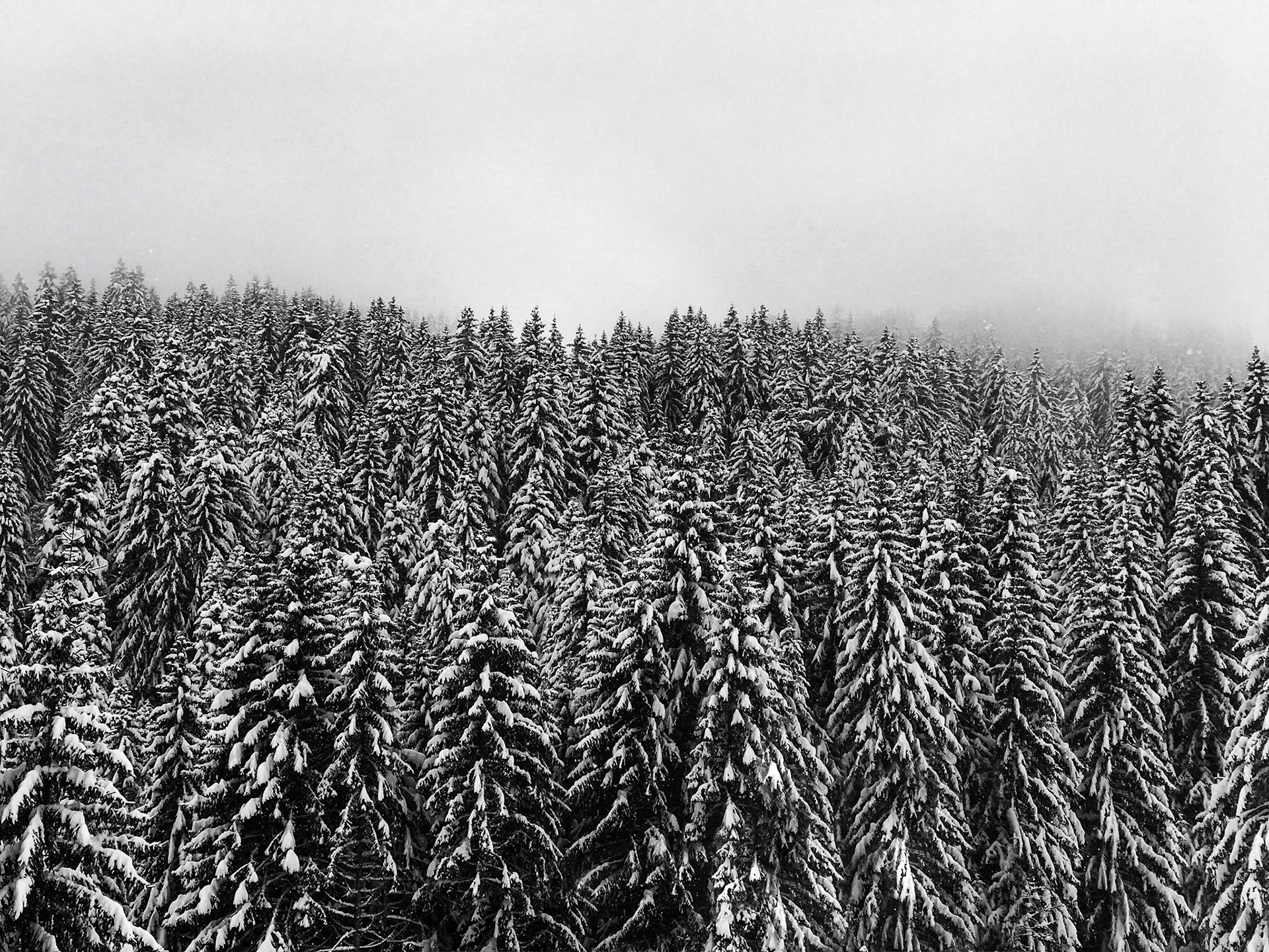 Grand Massif, France