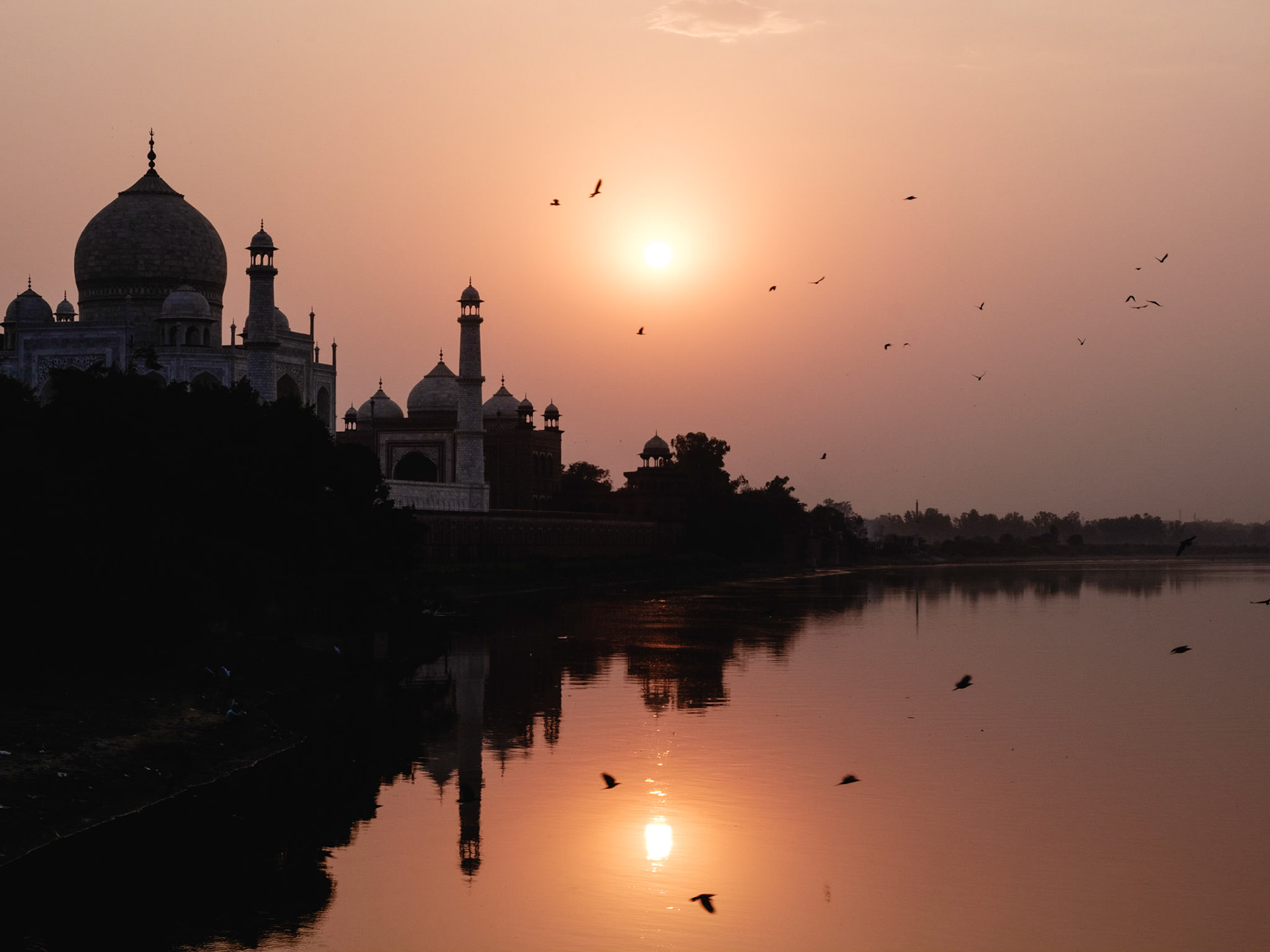 La beauté de l'Amour
