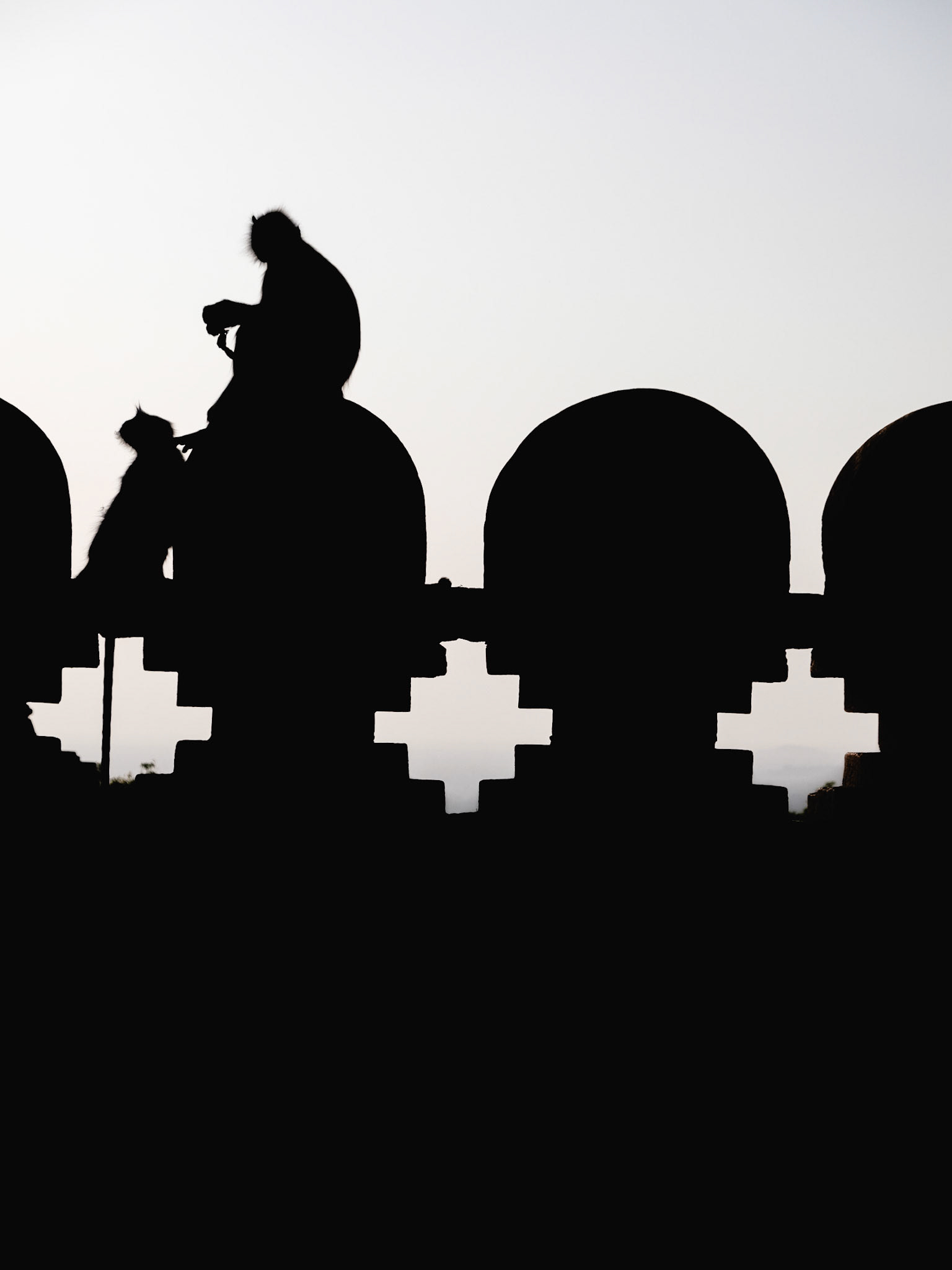 Tout le monde profite