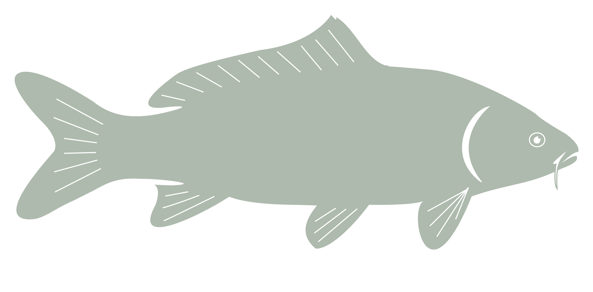 CARP logo