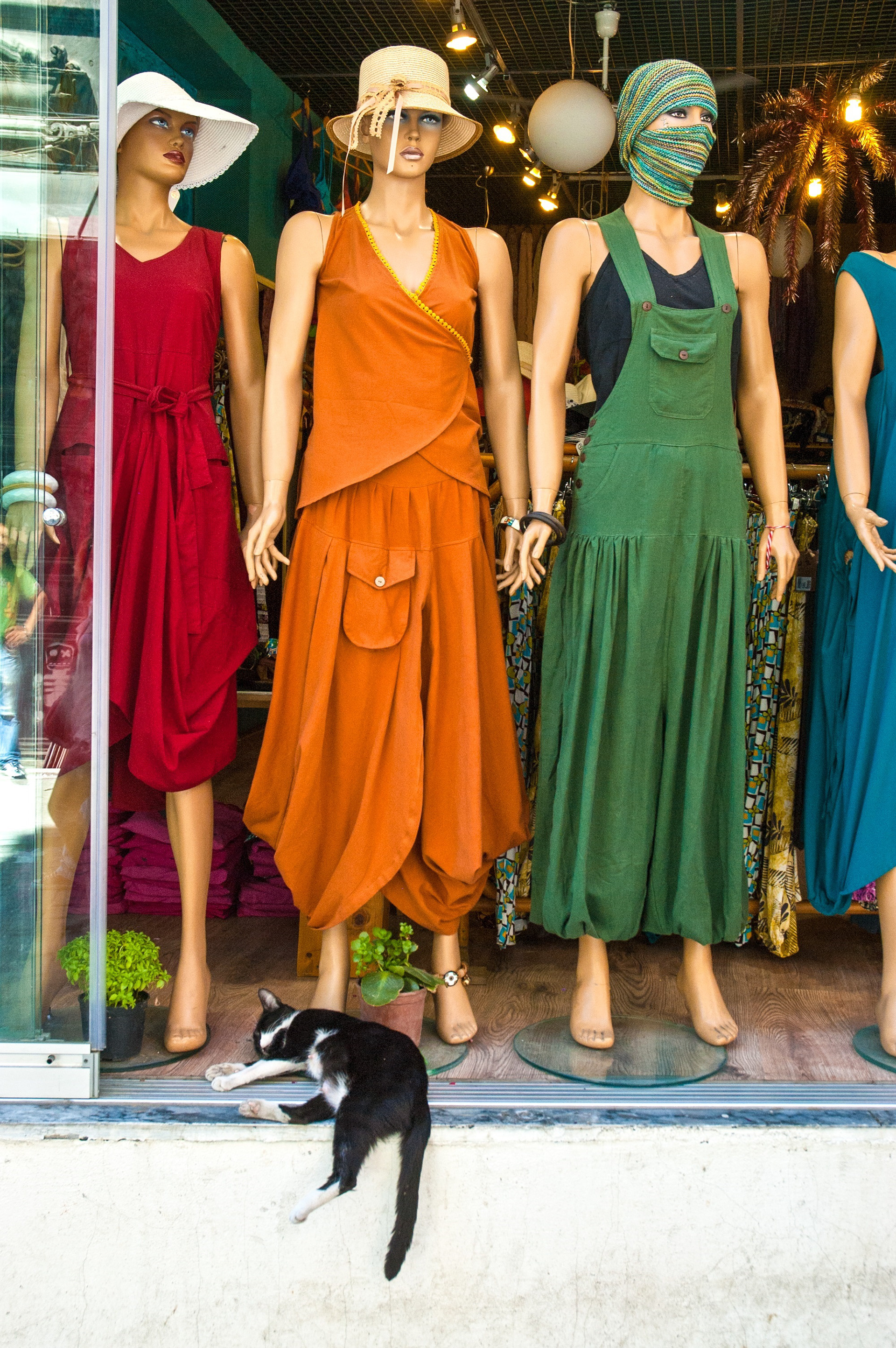 Cat on a Hot Tin Floor. Taksim Square, Istanbul, Turkey. ©2012, Corey Sandler