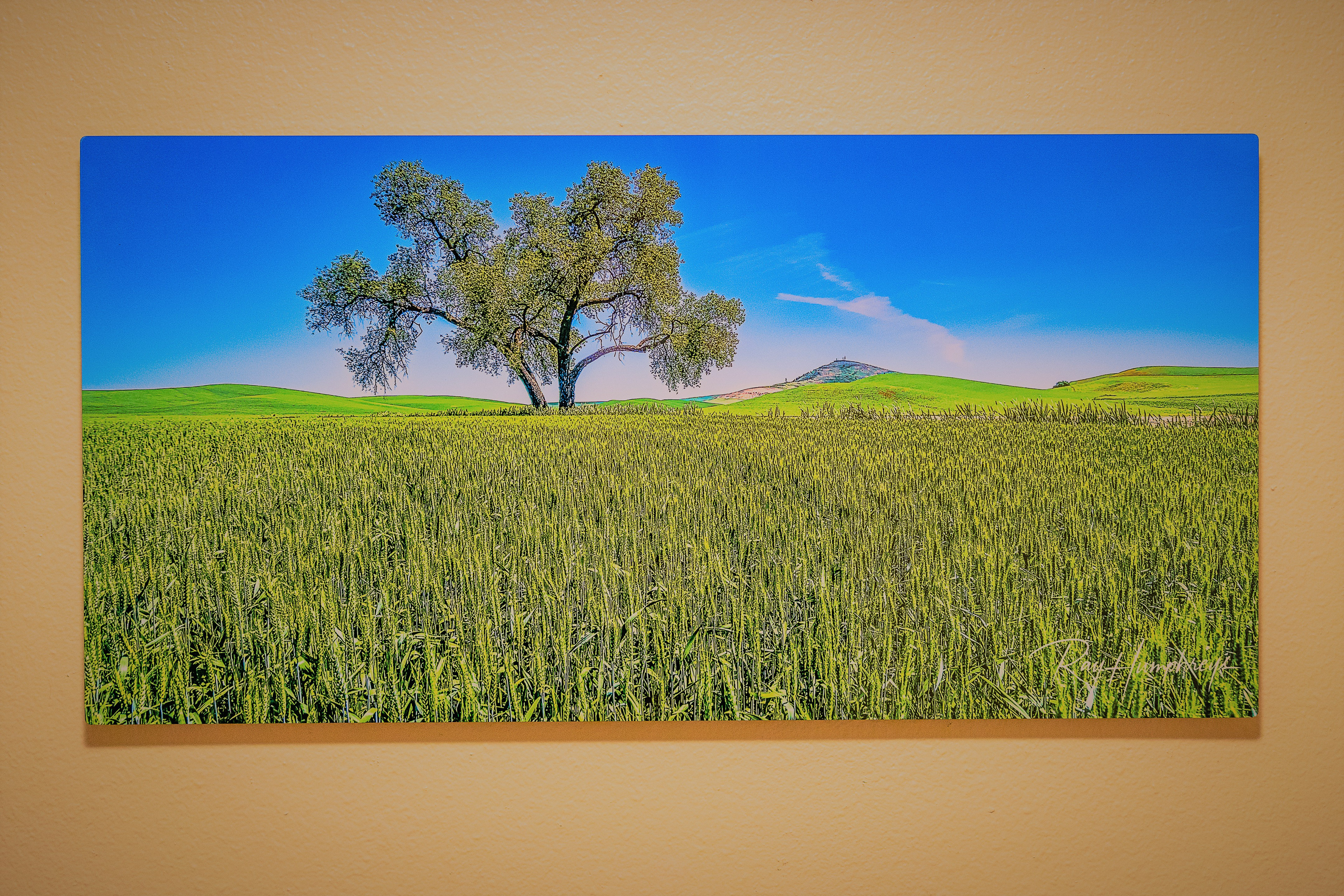 Steptoe Butte - 12” x 24” Chromaluxe Aluminum Panel