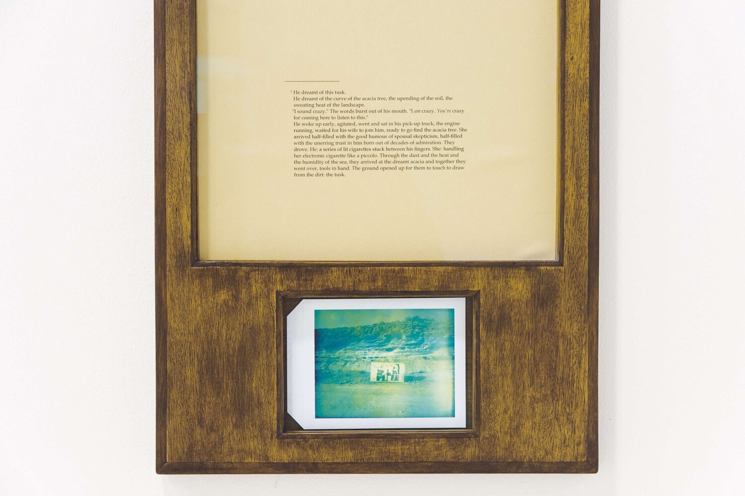 wooden frame with two glass windows. in the larger frame window at the top a printed text while in a small window frame at the bottom a faded 5x4inch polaroid photograph of an elephant's anatomical drawing in a mysterious landscape