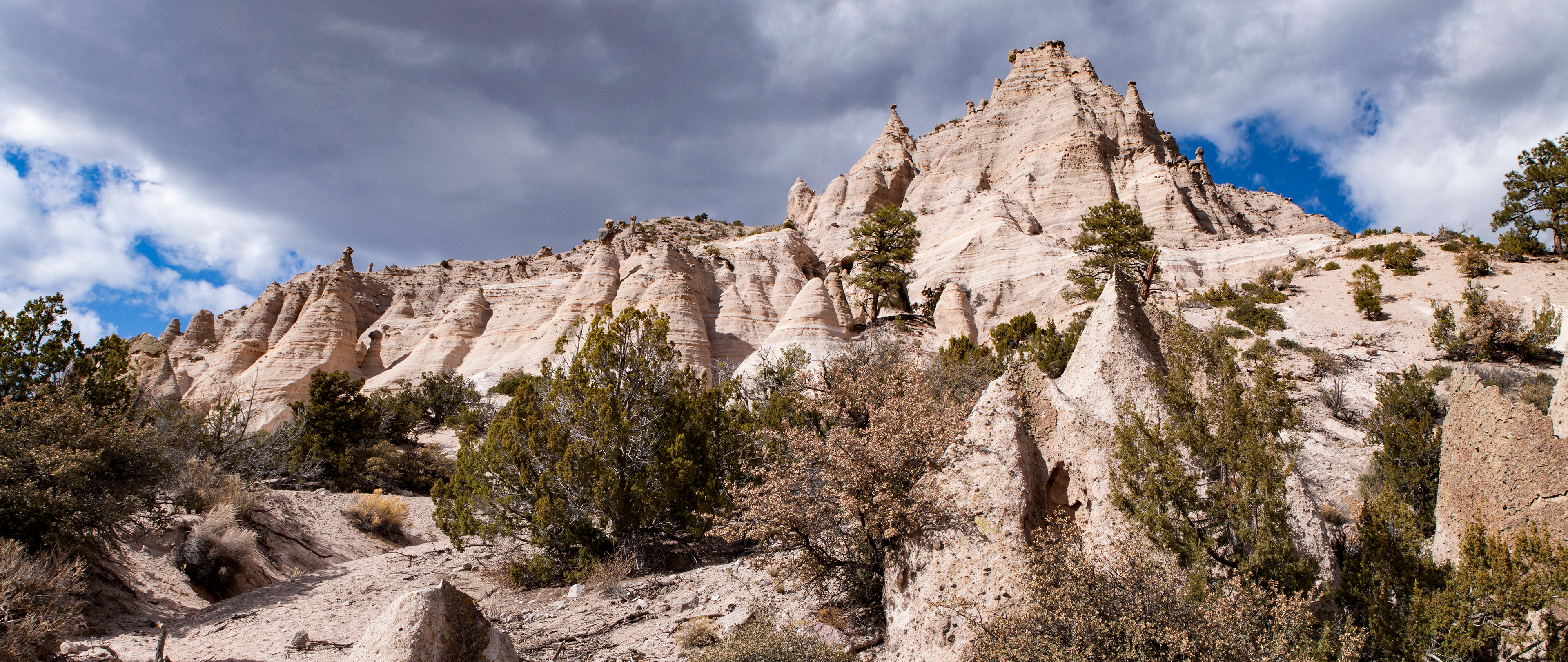 New Mexico