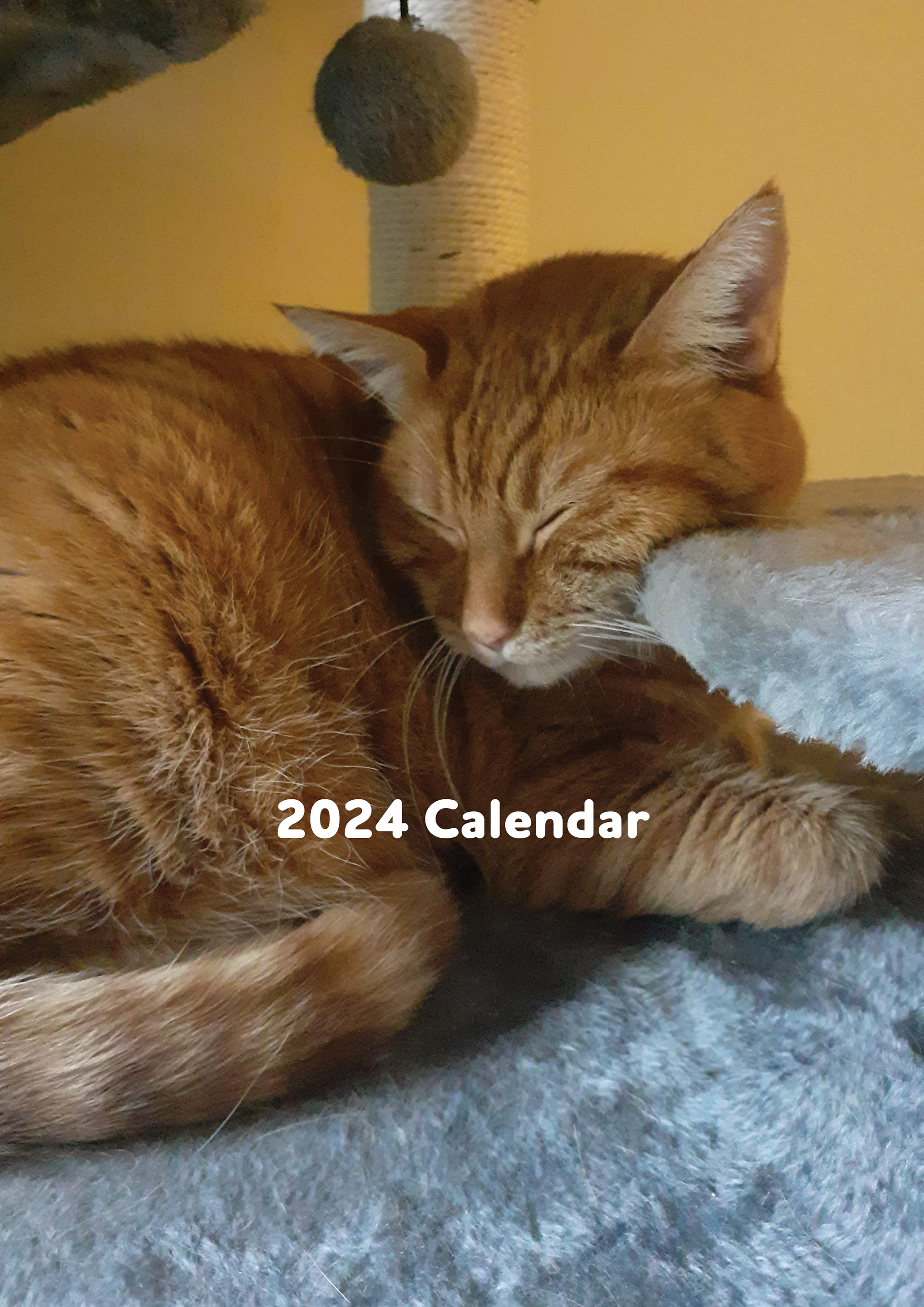 A front cover of a calendar titled "2024 Calendar".