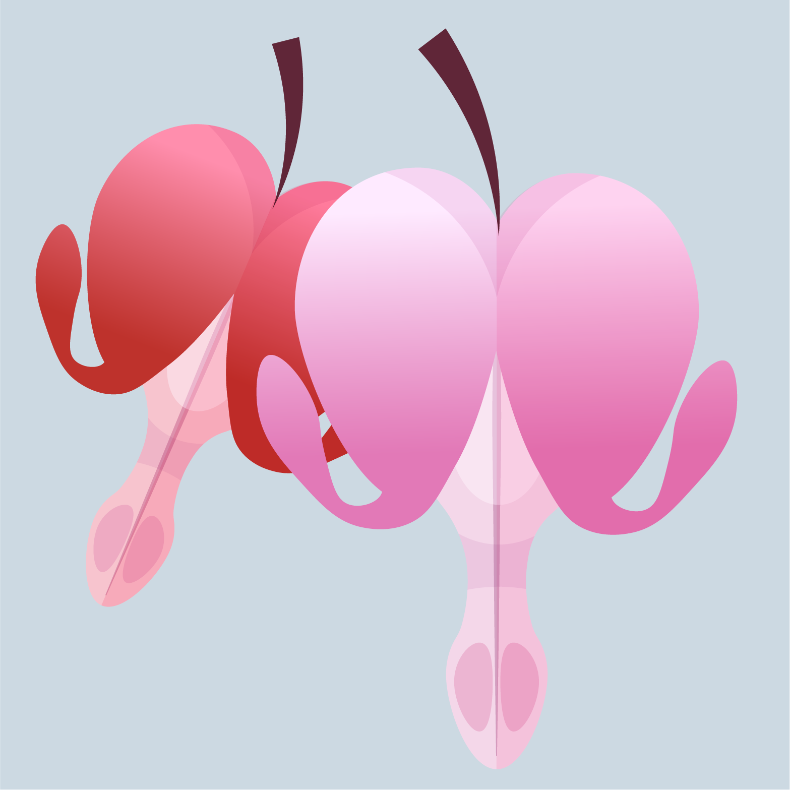 Bleeding Heart Flower