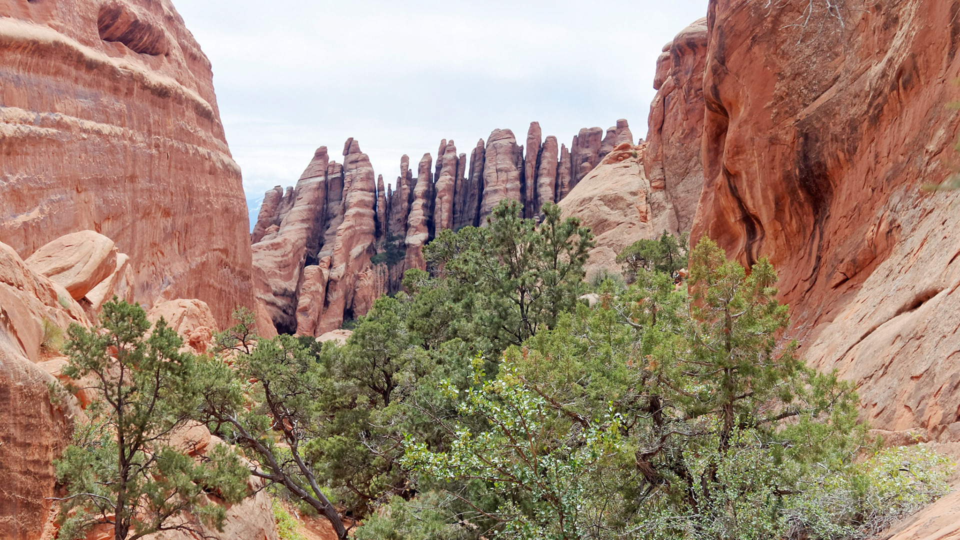 Looking back down the gully on the Primitive Trail.