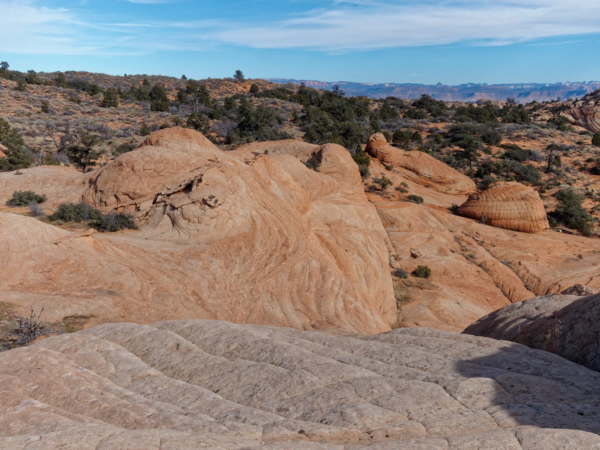 ...zooming a little closer...