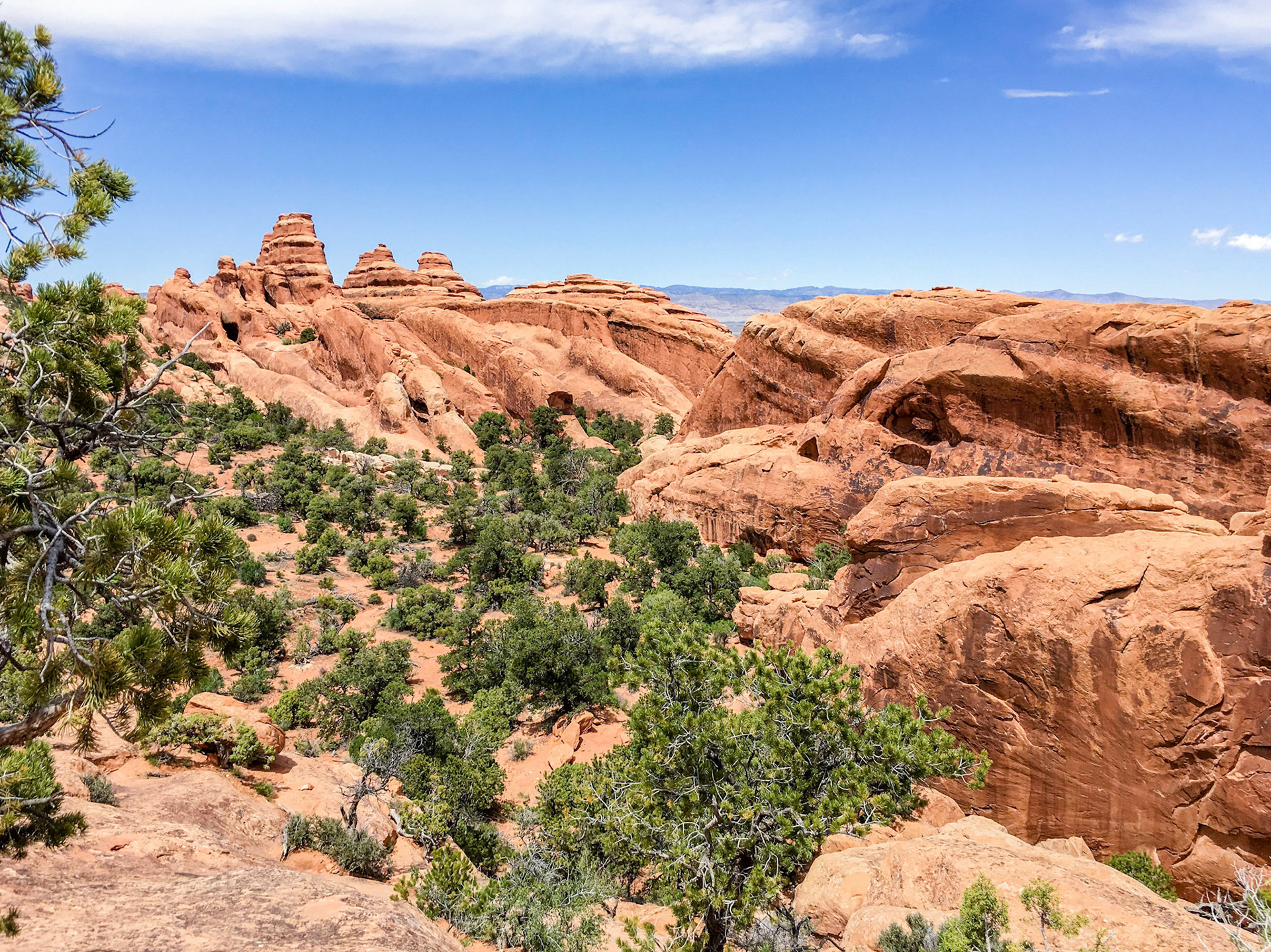 View back down the Primitive Trail from where it joins the Devils Garden Trail.