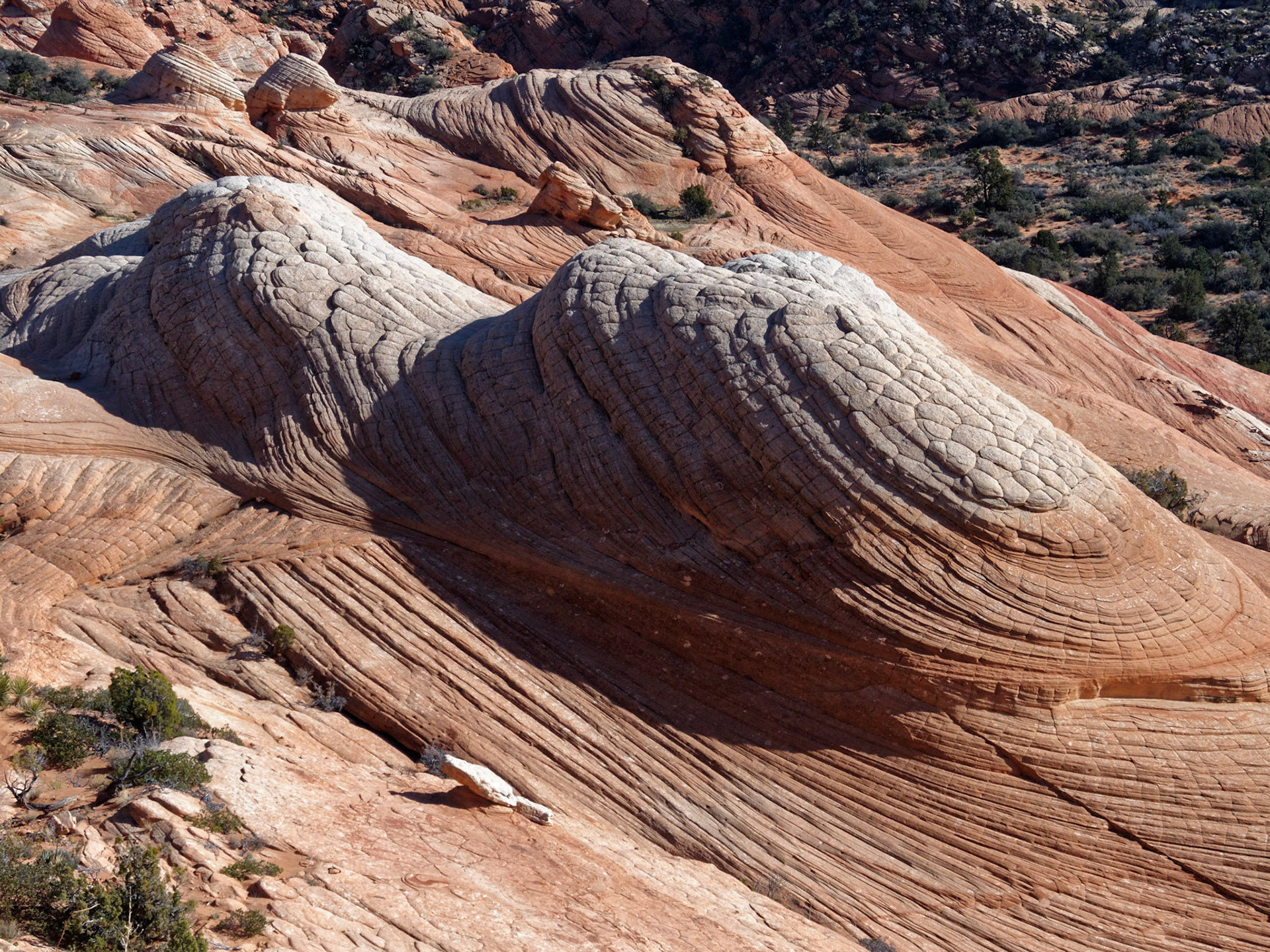 Zooming in on the humps.