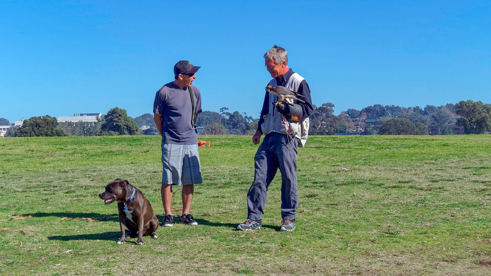 Falconer and dog owner at Torrey Pines Glider Port