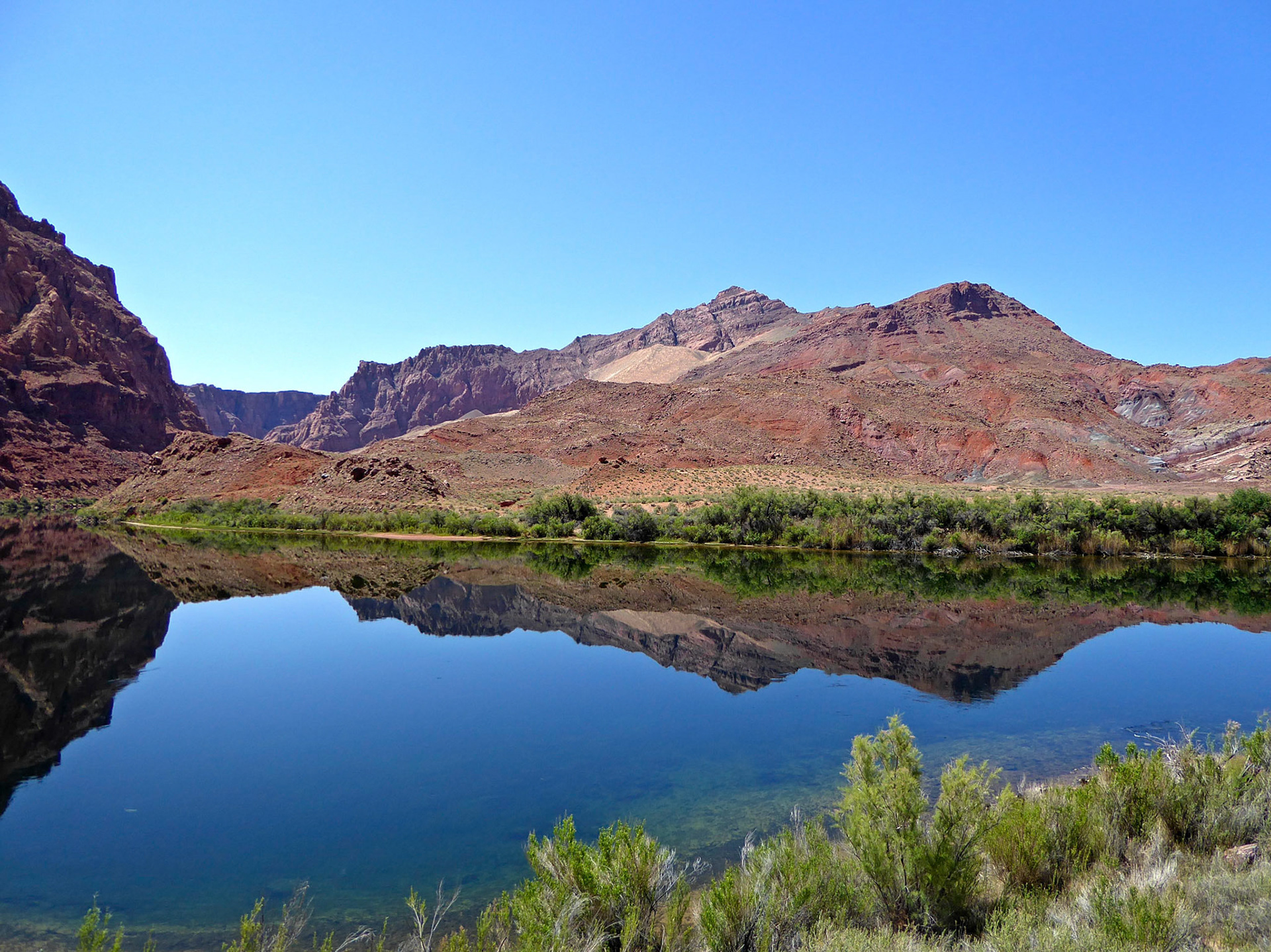 Calm reflections on the Colorado River at Lees Ferry, Arizona.
