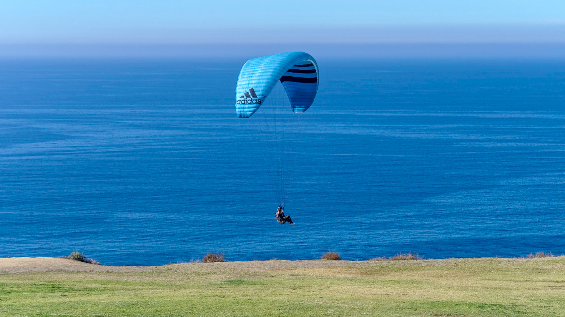Paraglider at Torrey Pines Glider Port