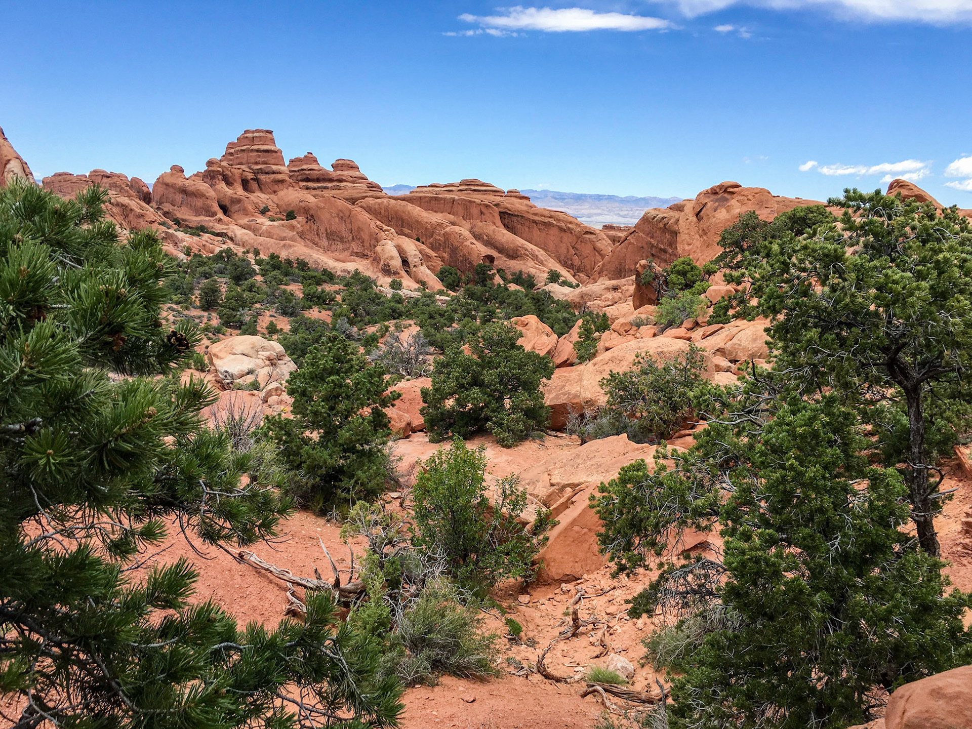 View back down the Primitive Trail from where it joins the Devils Garden Trail.