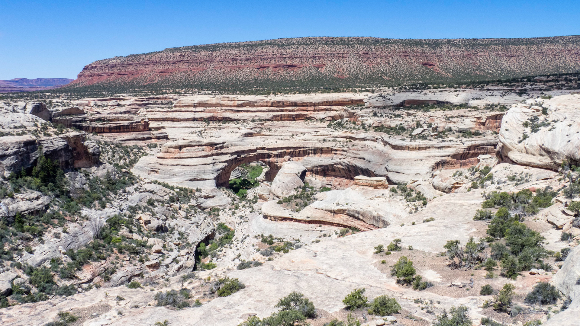 Sipapu Bridge, in Natural Bridges National Monument. The bridges are formed by streams eroding through the narrow neck of a meander.