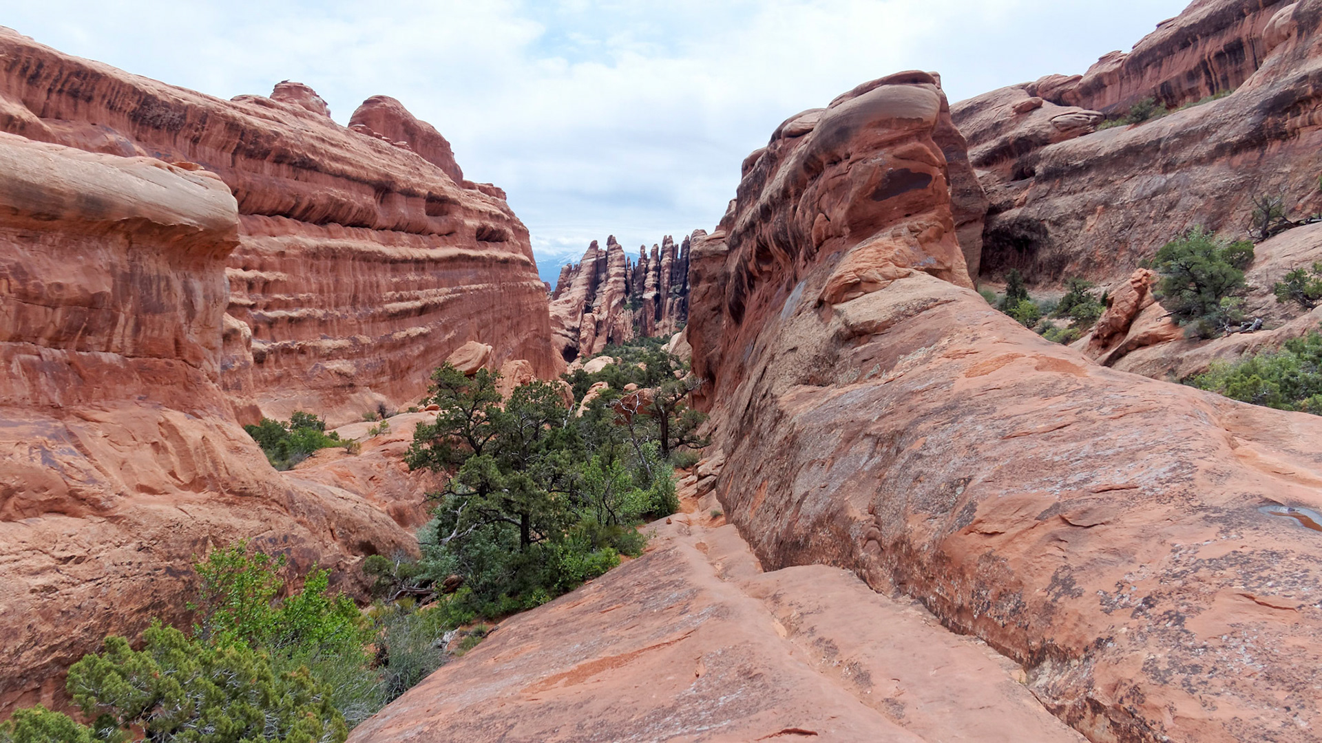 Looking back down the gully on the Primitive Trail. The trail continues over the fin to the right.