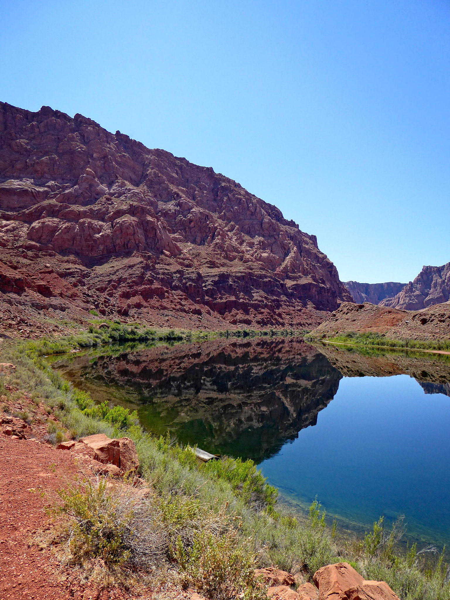 Calm reflections on the Colorado River at Lees Ferry, Arizona.