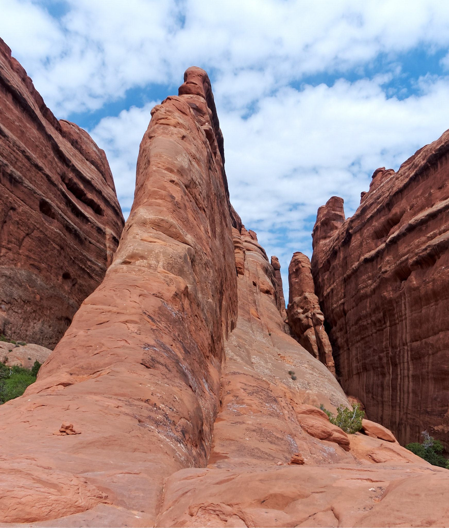 Parts of the Primitive Trail require some rock-scrambling, such as the climb up and over this fin.