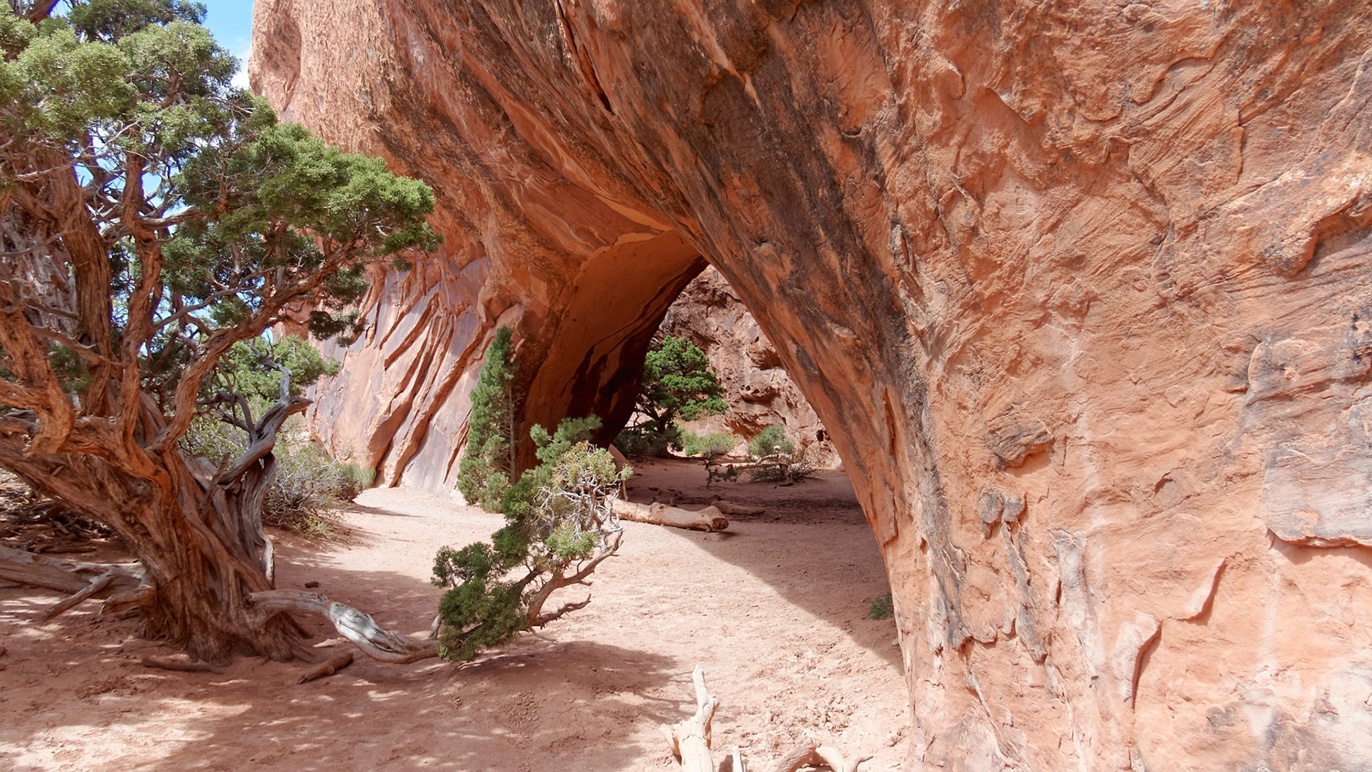 Navajo Arch, Devils Garden, Arches National Park.