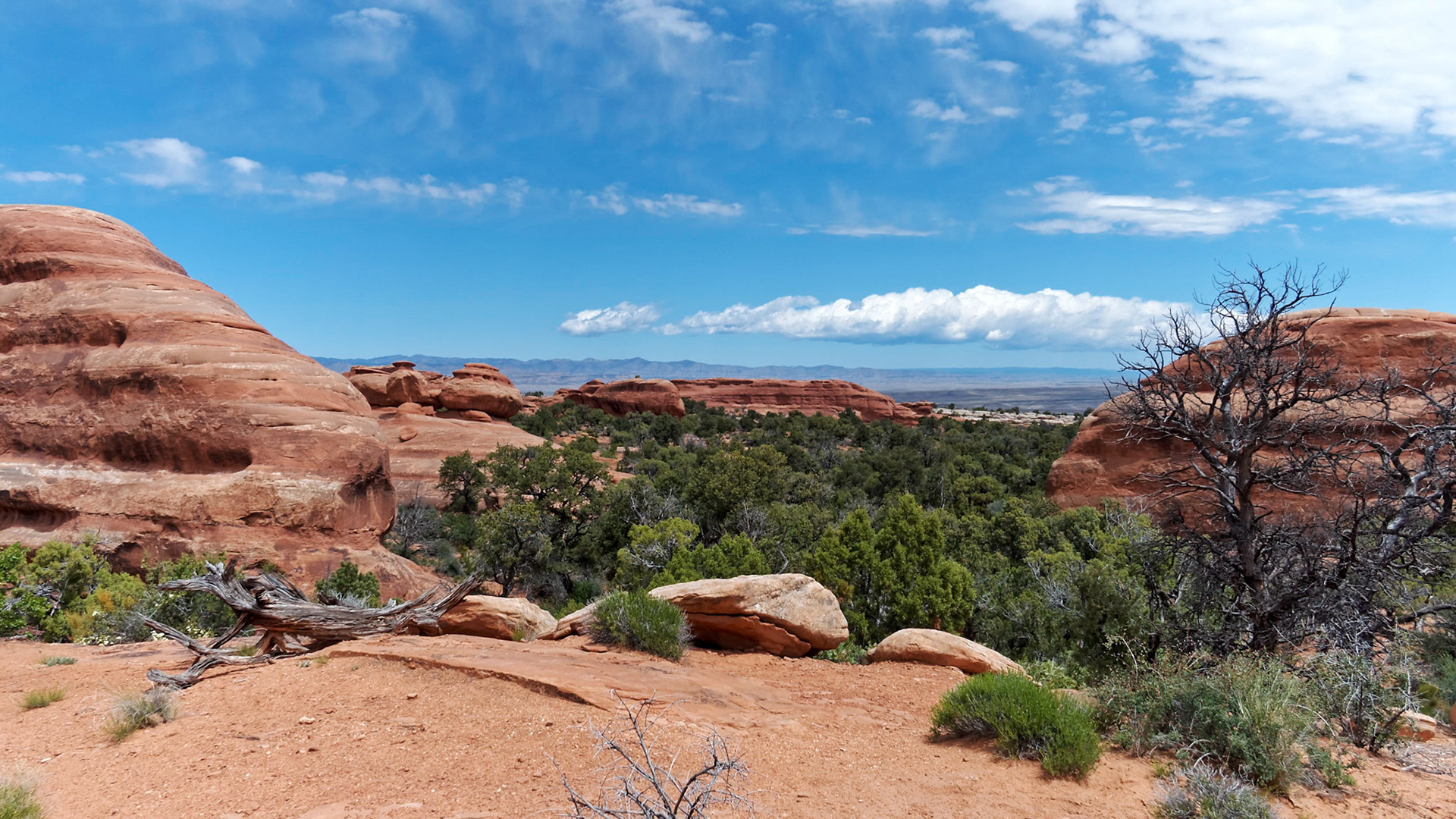 Higher up, the trail opens out with views eastwards in the direction of Colorado. Near here is a pool that we had been warned needed wading to pass, but fortunately we were able to avoid it with some minor scrambling.
