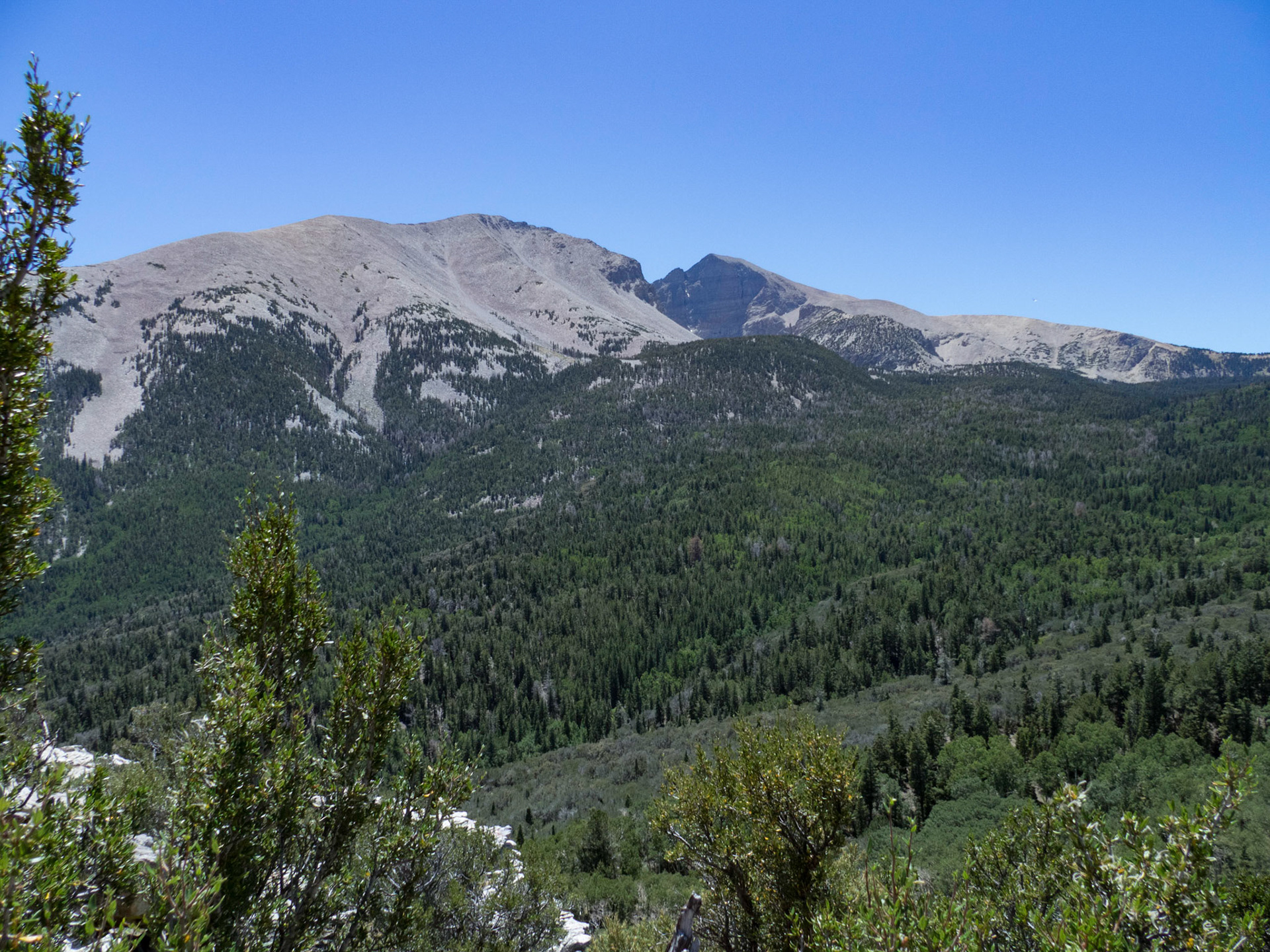 Jeff Davis Peak (12,771 ft) and Wheeler Peak (13,063 ft) from the Mather Overlook, Great Basin National Park, Nevada
