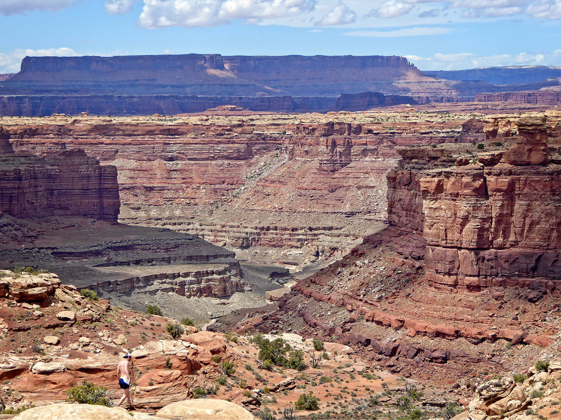 View from the Slickrock Foot Trail over Big Spring Canyon towards Grand View Point and the Island in the Sky.