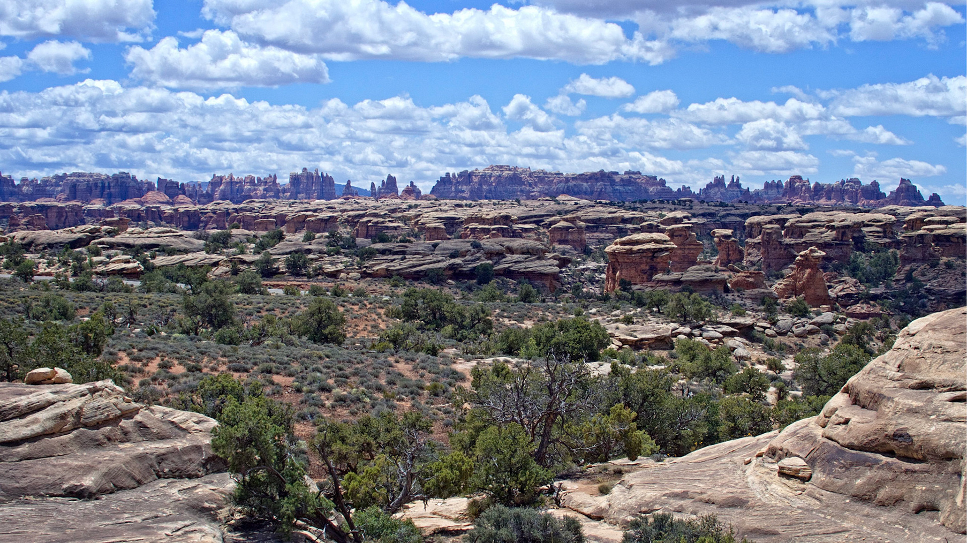 Looking from the Slickrock Foot Trail towards the Chesler Park area of the Needles District of Canyonlands National Park.