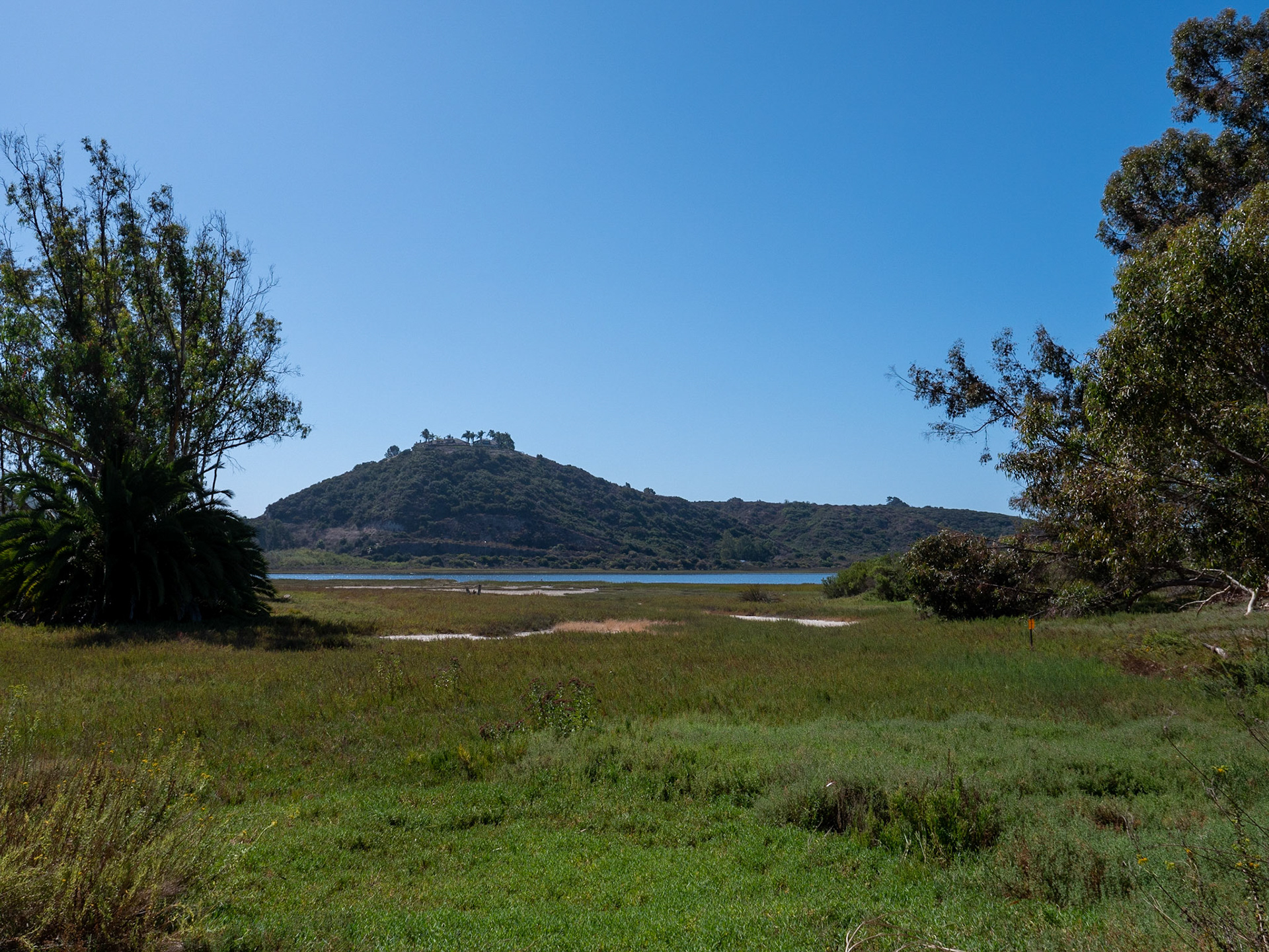 Walk on Batiquitos Lagoon Trail