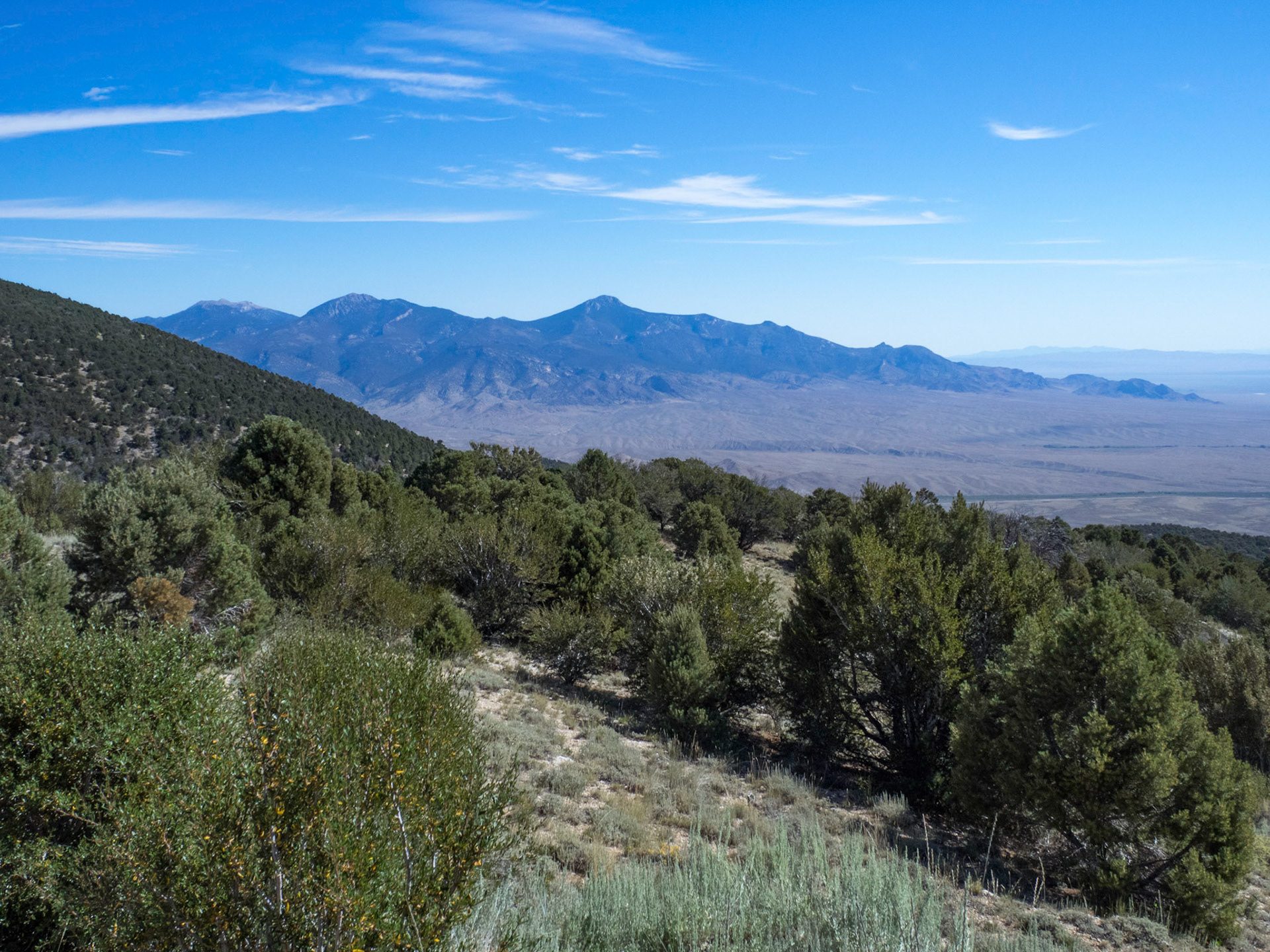 Mt. Moriah (12,072 ft) from the Wheeler Peak Scenic Drive, Great Basin National Park, Nevada.