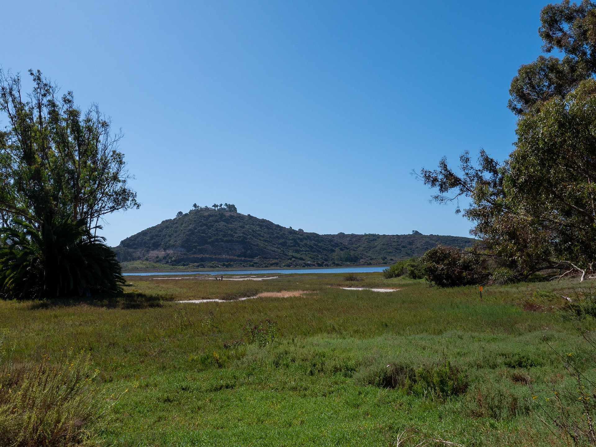 Walk on Batiquitos Lagoon Trail