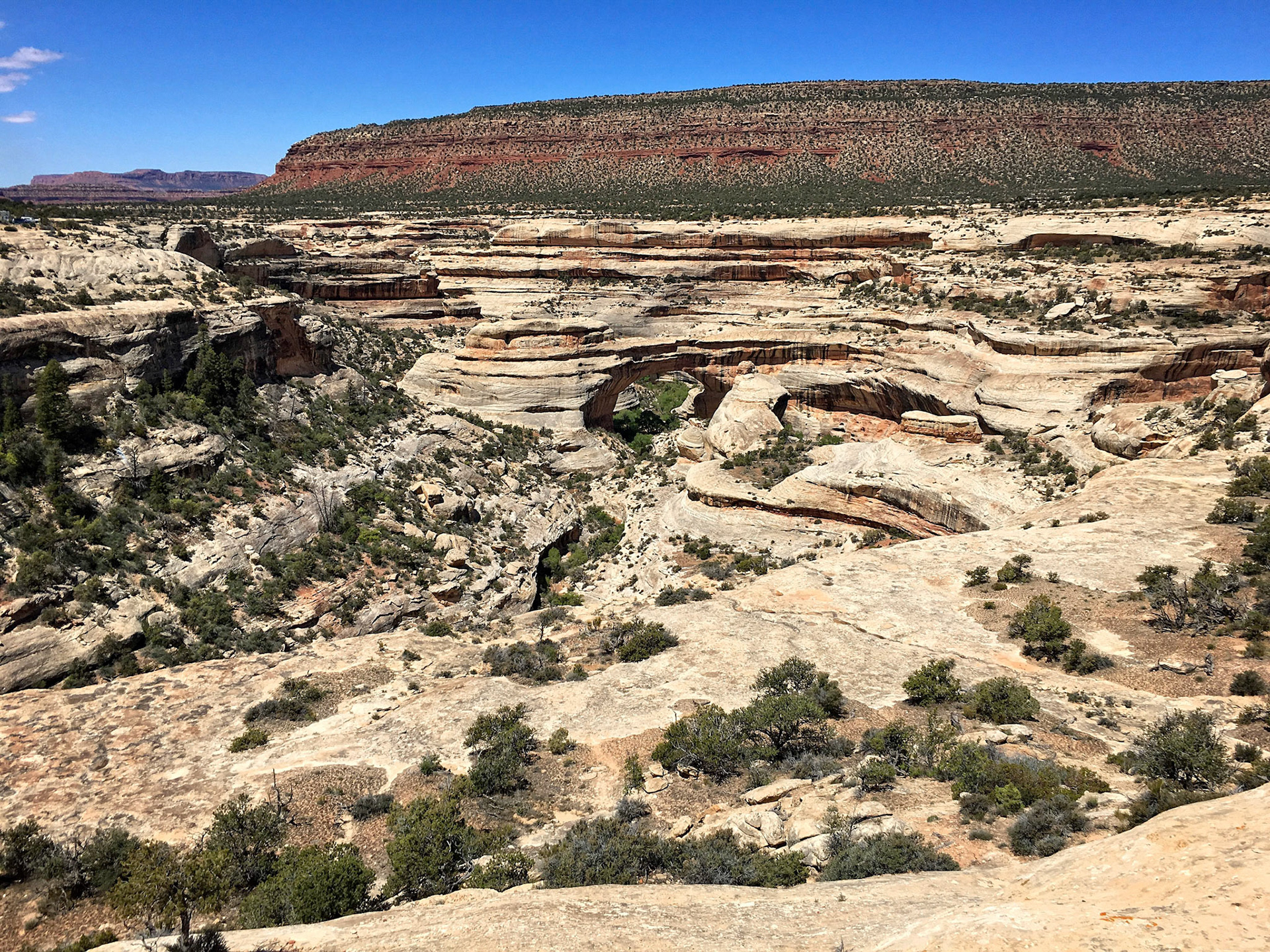 Sipapu Bridge, in Natural Bridges National Monument. The bridges are formed by streams eroding through the narrow neck of a meander.
