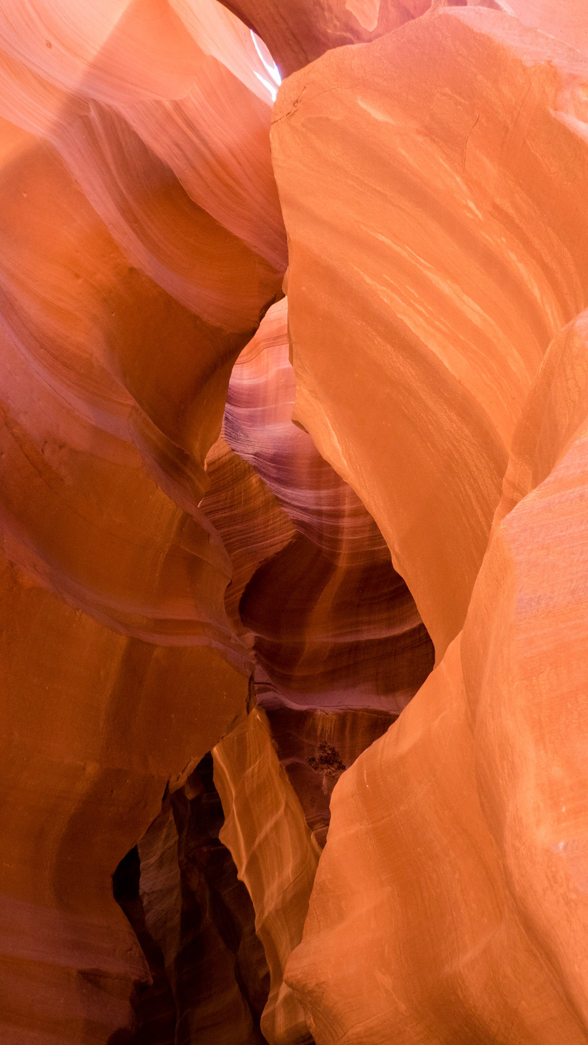 Inside Upper Antelope Canyon.