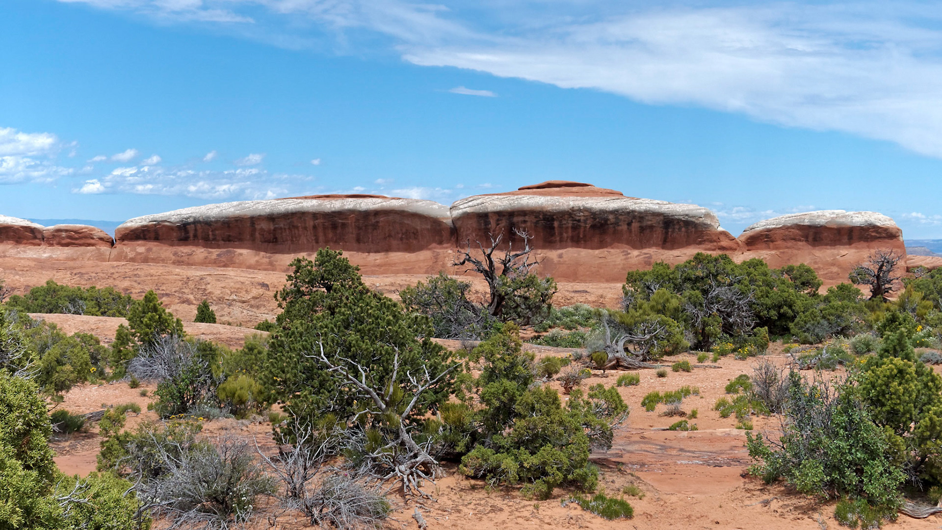 "Cupcakes" from the Devils Garden Trail.