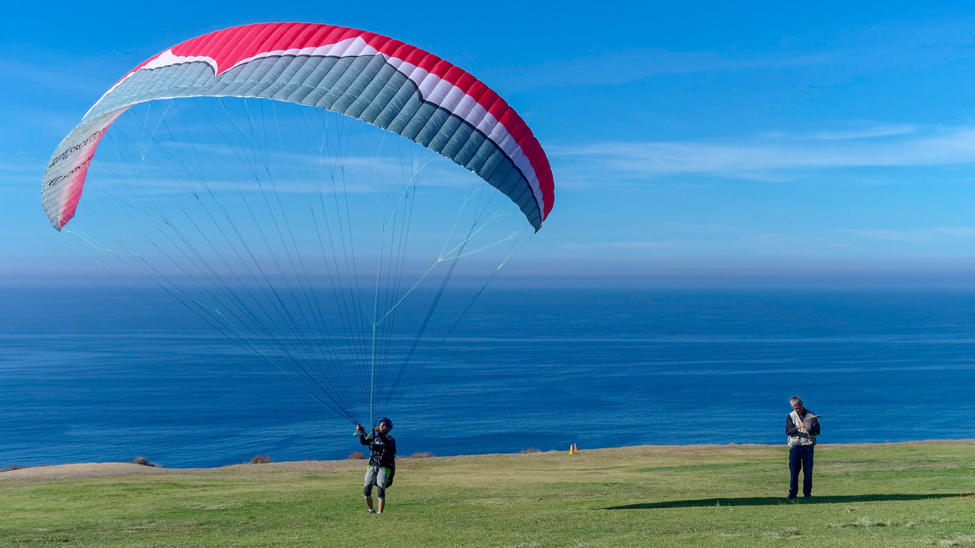 Paraglider and falconer at Torrey Pines Glider Port