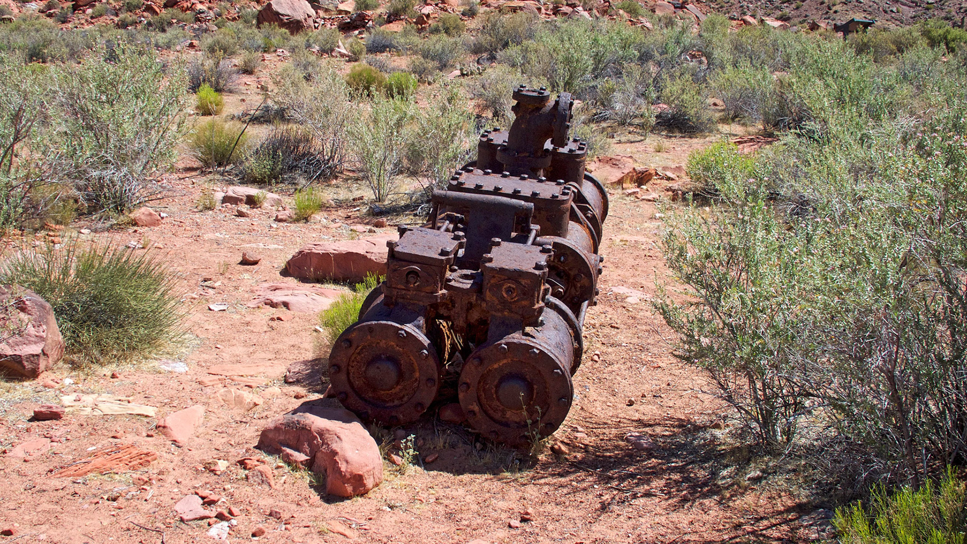 In the early 1900s engineer Charles Spencer started a gold mining venture near Lees Ferry. A land based steam boiler, a steam driven paddle wheeler now sunk at the river's edge and other mechanical equipment and buildings remain as a reminder of this failed enterprise.