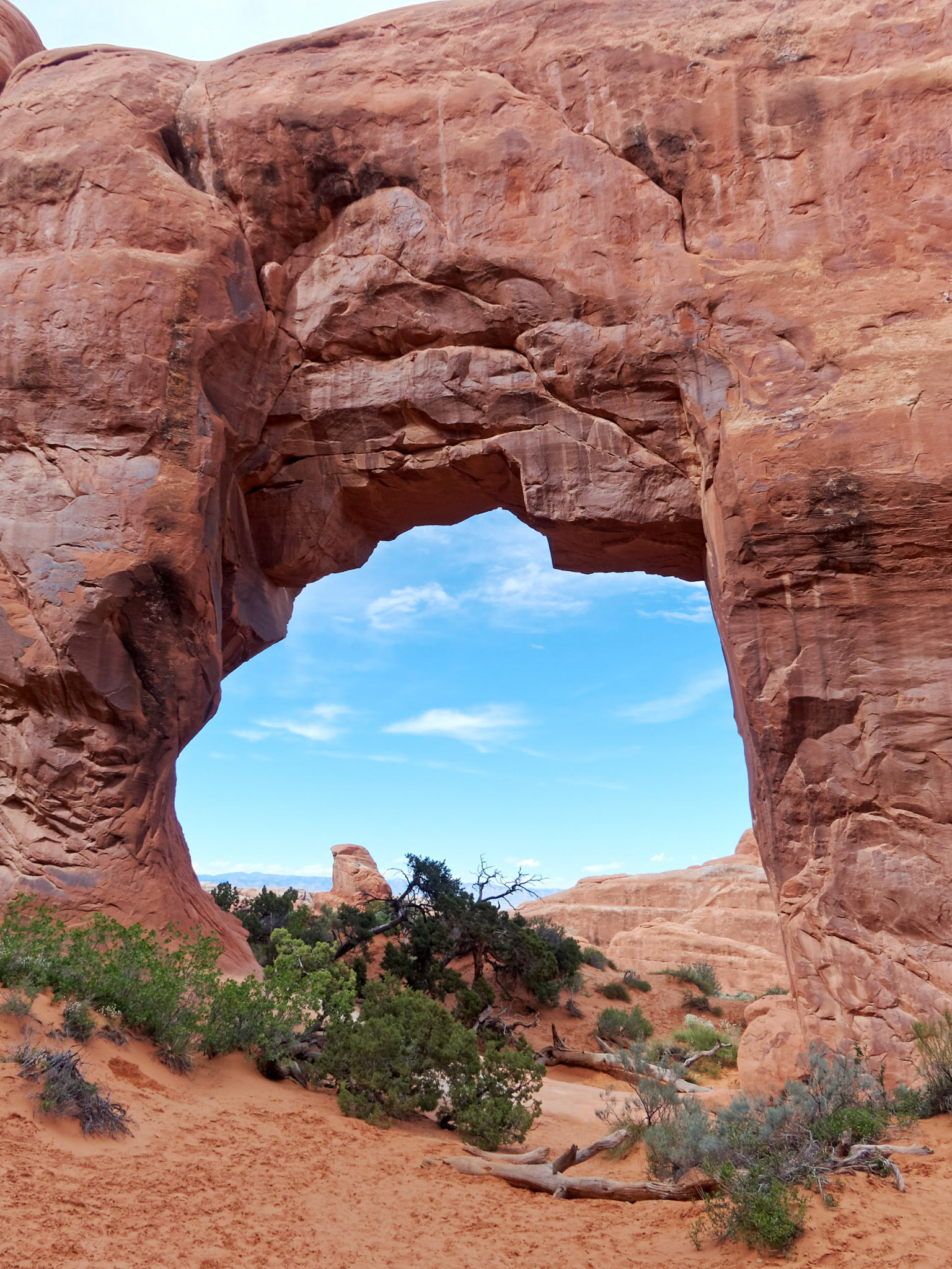Pine Tree Arch, Devils Garden, Arches National Park.