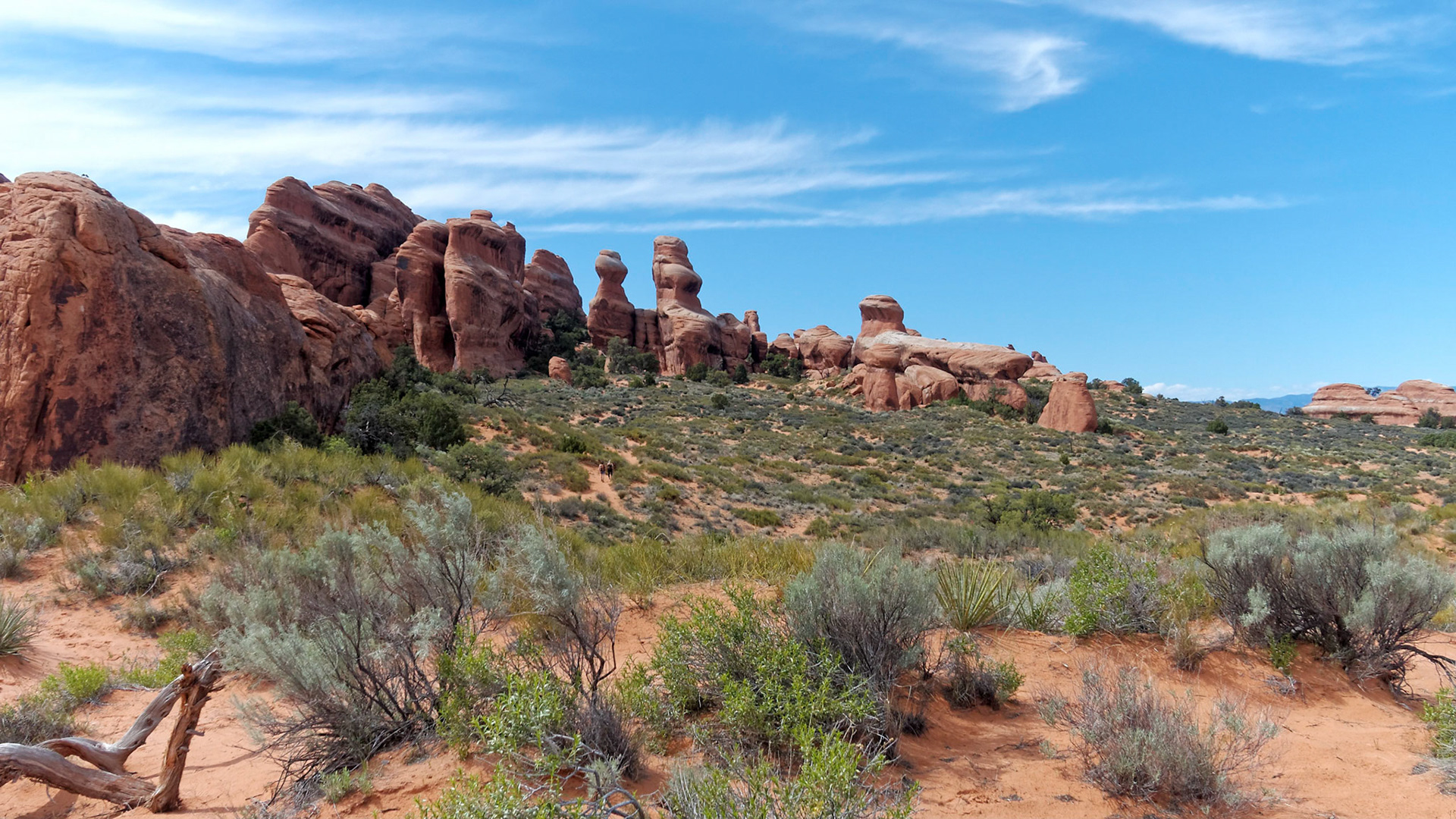 Devils Garden, Arches National Park.