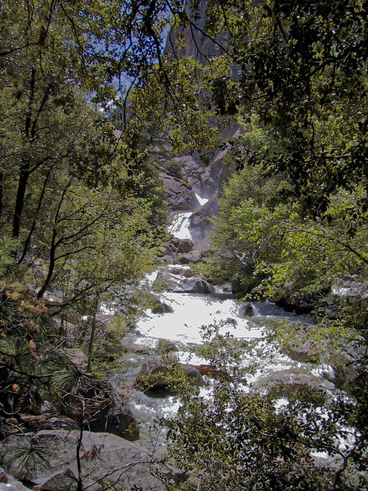 Roaring River Falls in Kings Canyon National Park.