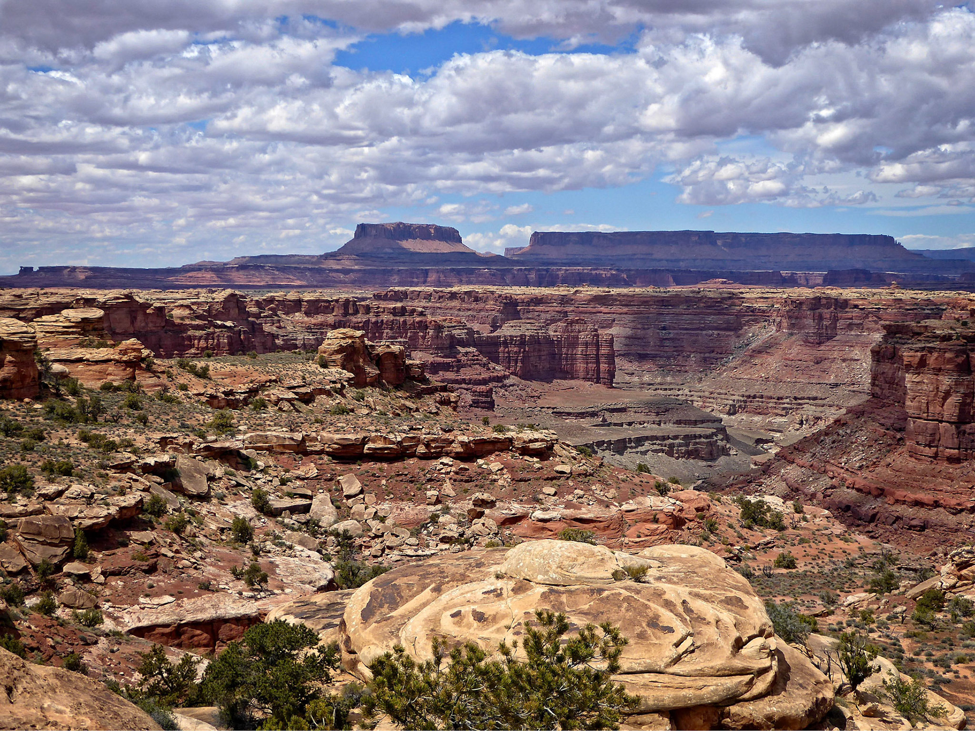 View from the Slickrock Foot Trail over Big Spring Canyon towards Junction Butte and Grand View Point in the Island in the Sky District.