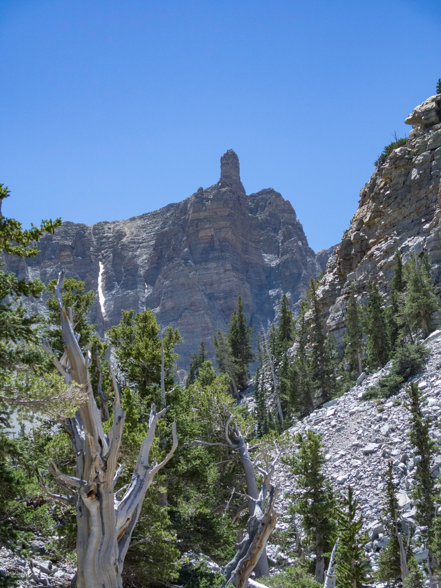 Solomon's Arrow (12,630 ft) from the Bristlecone Pine Grove at around 10,000 ft elevation in the Great Basin National Park, Nevada. It is also known as "The Stoned Finger", "Lil's Delight" and, paradoxically, "Nameless Tower".