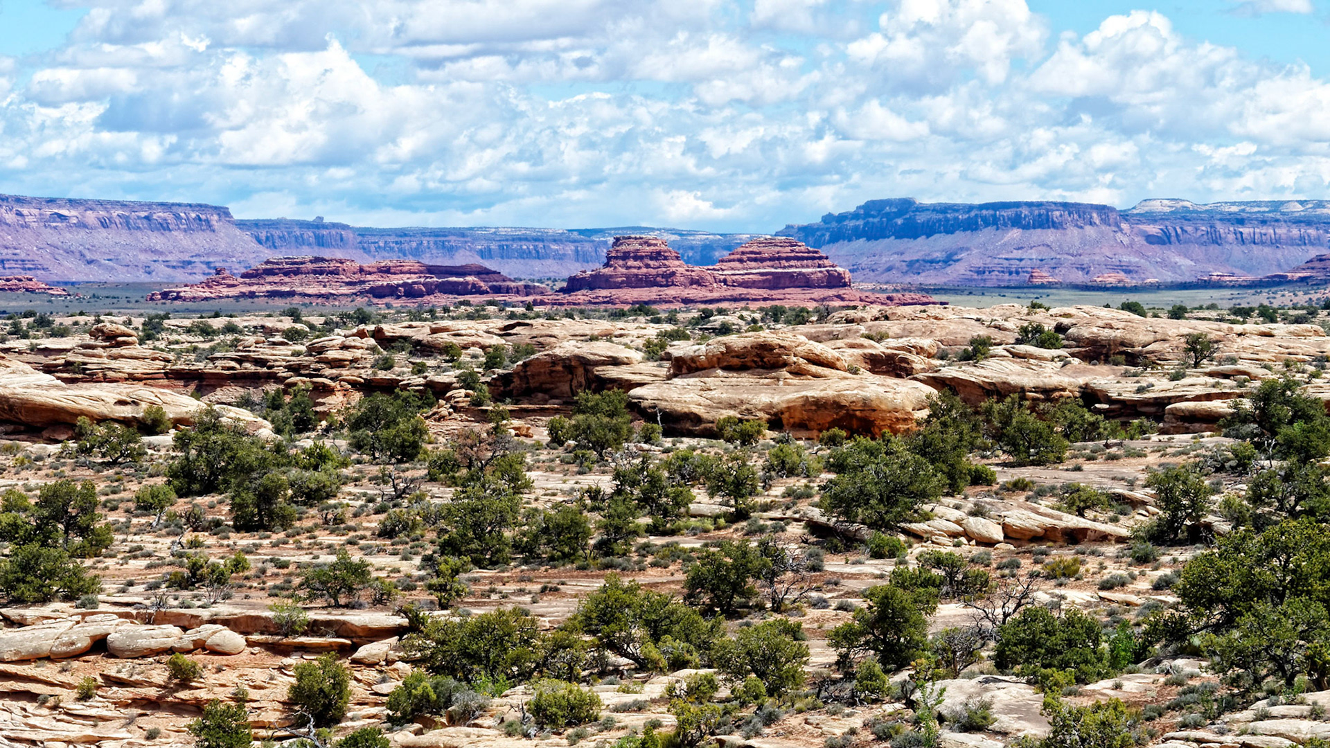 Looking east from the Slickrock Foot Trail in the Needles District of Canyonlands National Park.