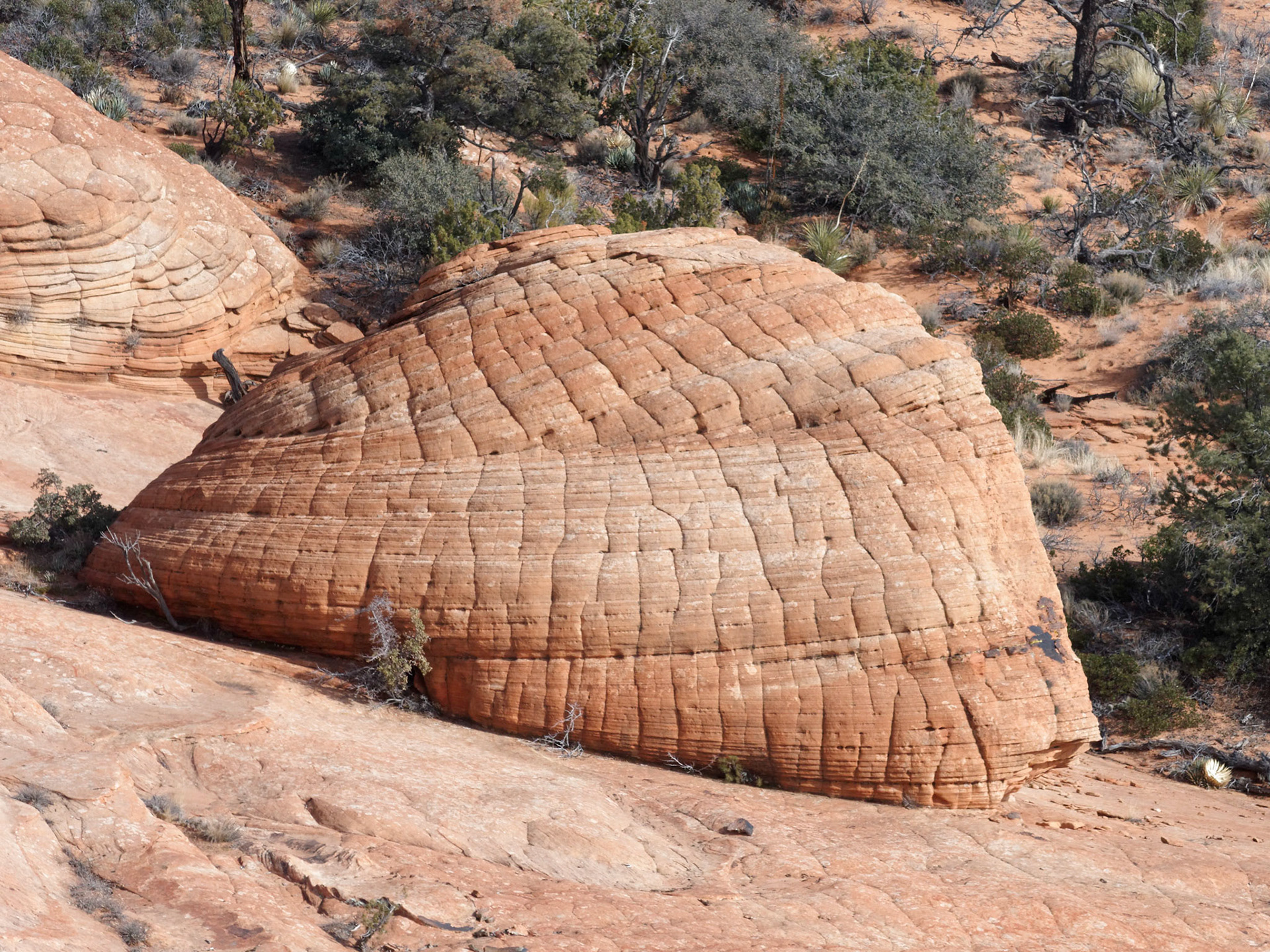 ...and on the large dome.