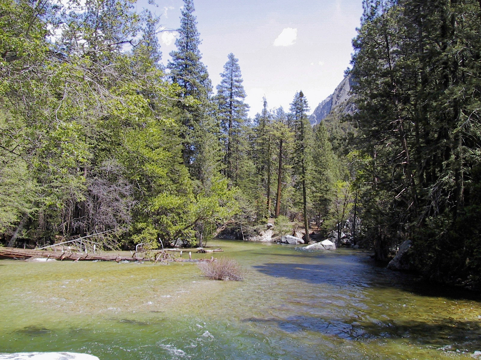 The Kings River at Zumwalt meadows.