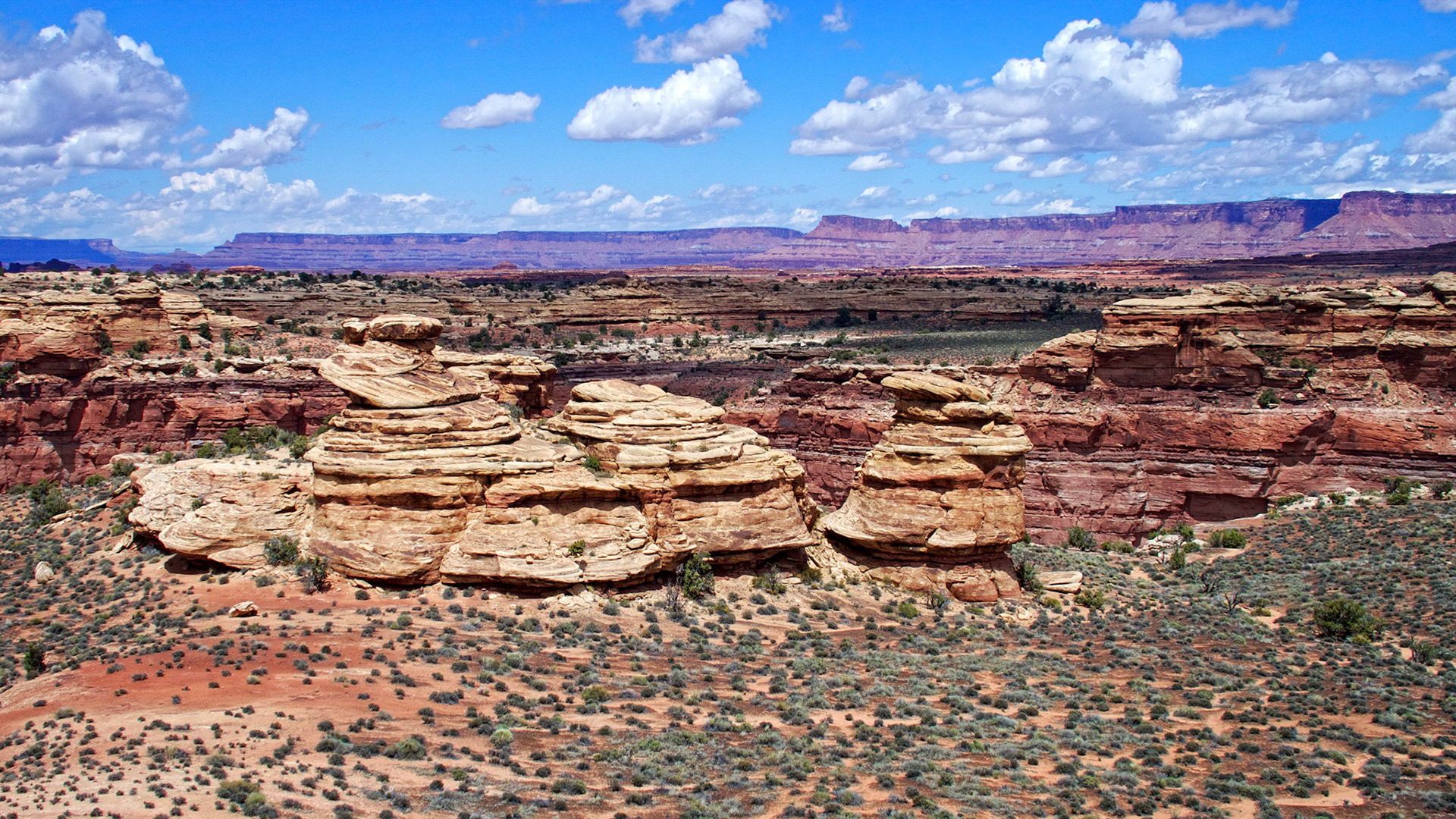 View northeast from the Slickrock Foot Trail towards the Needles Overlook on the center horizon.
