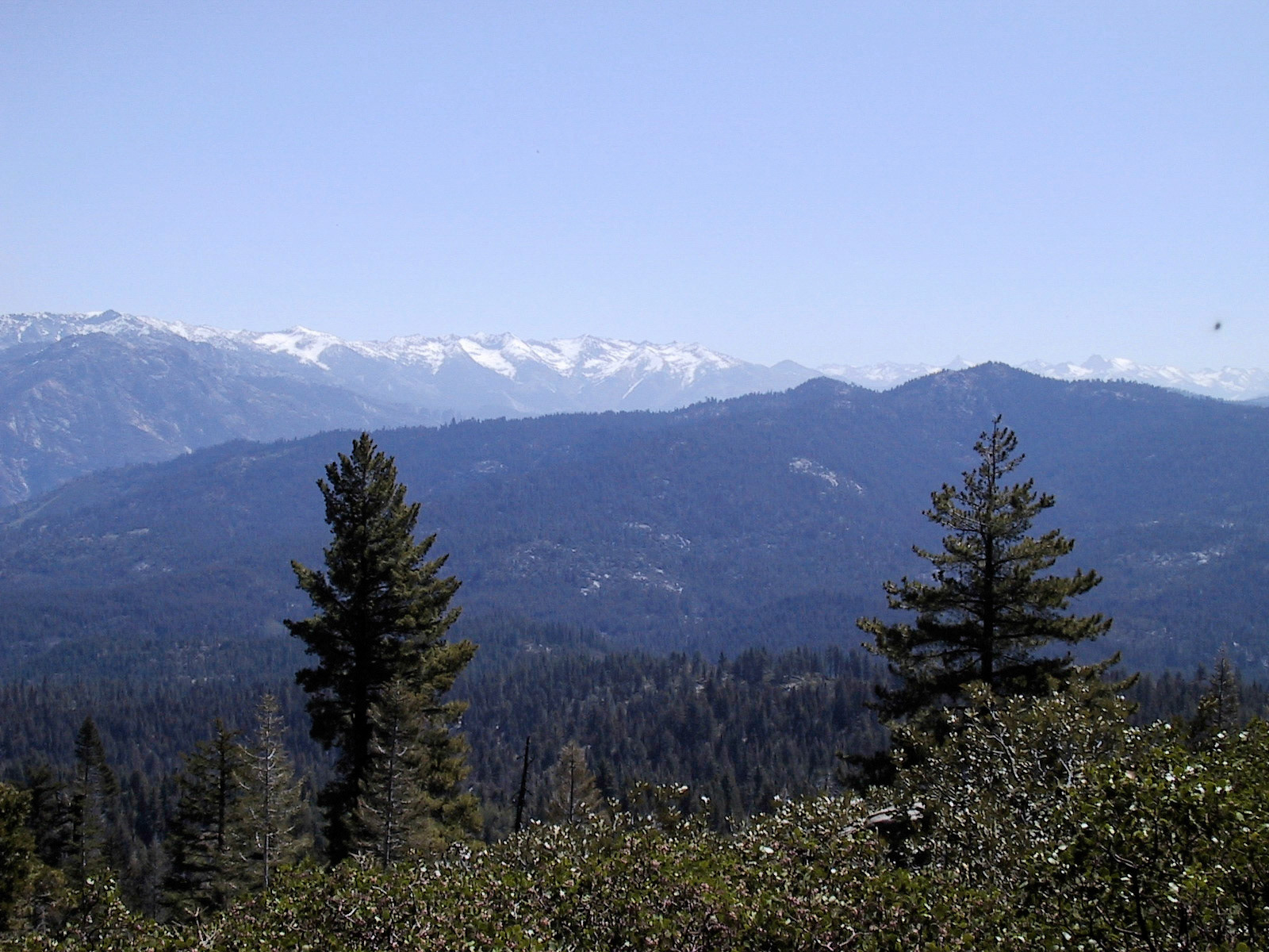 The Great Western Divide from Panorama Point at Grant Grove in the Sequoia National Forest.