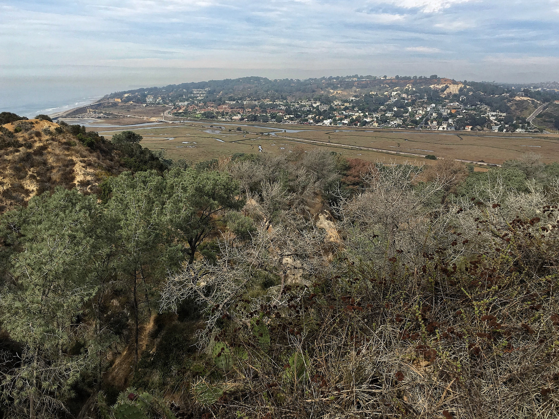Looking north across Los Peñasquitos Lagoon to Del Mar from Torrey Pines State Reserve