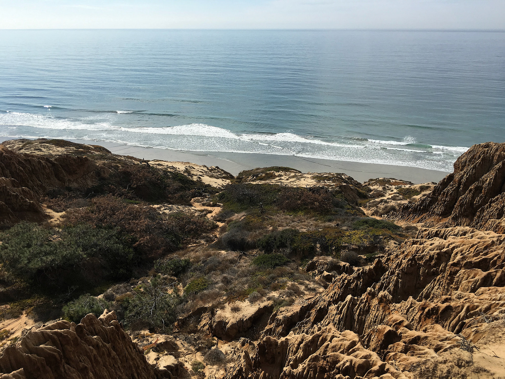 Looking down an erosion gully to the beach at Razor Point, Torrey Pines State Reserve