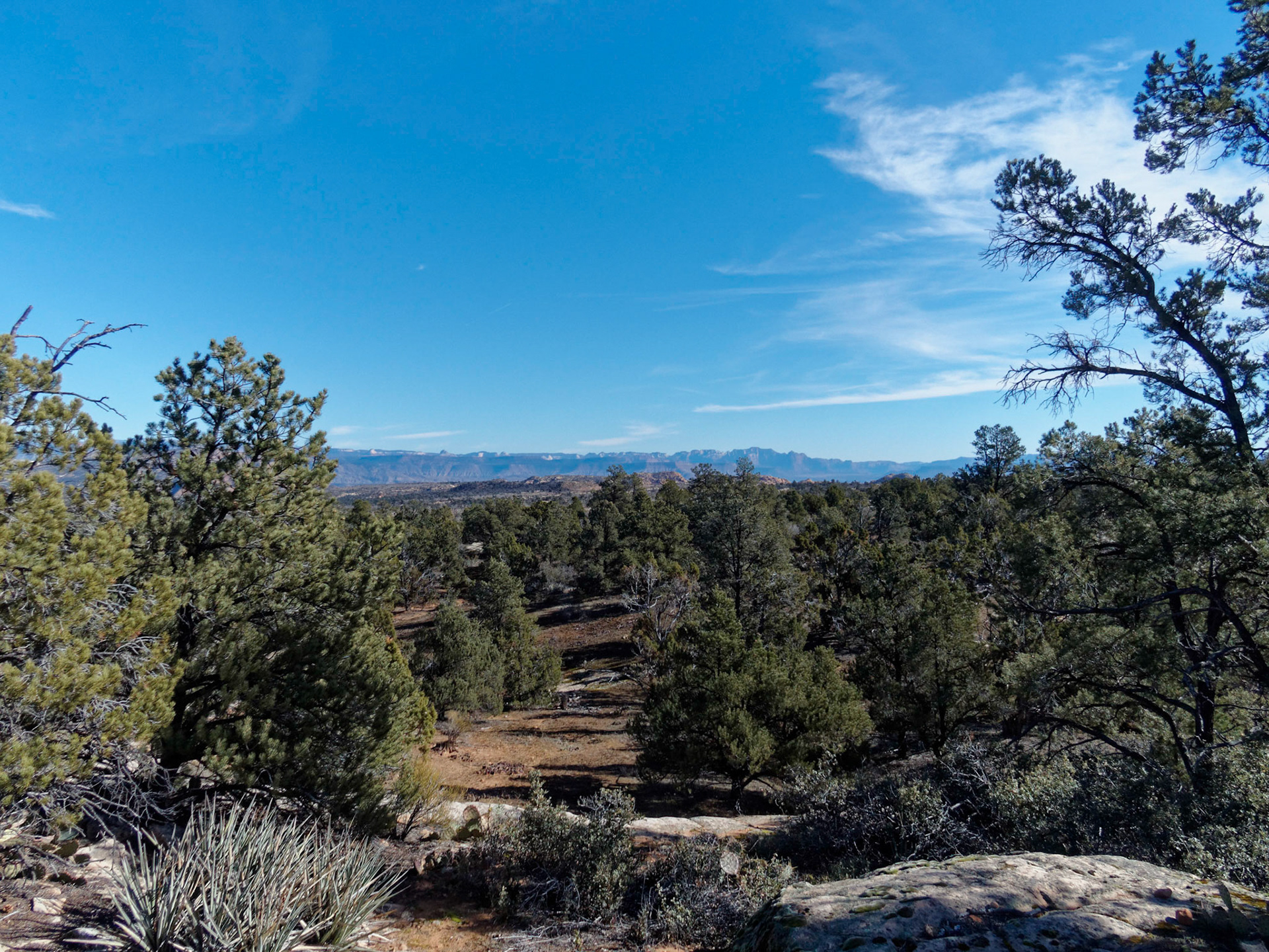 The hike starts through an area of mixed pinyon pine and juniper, mostly sandy underfoot with small areas of slick rock.