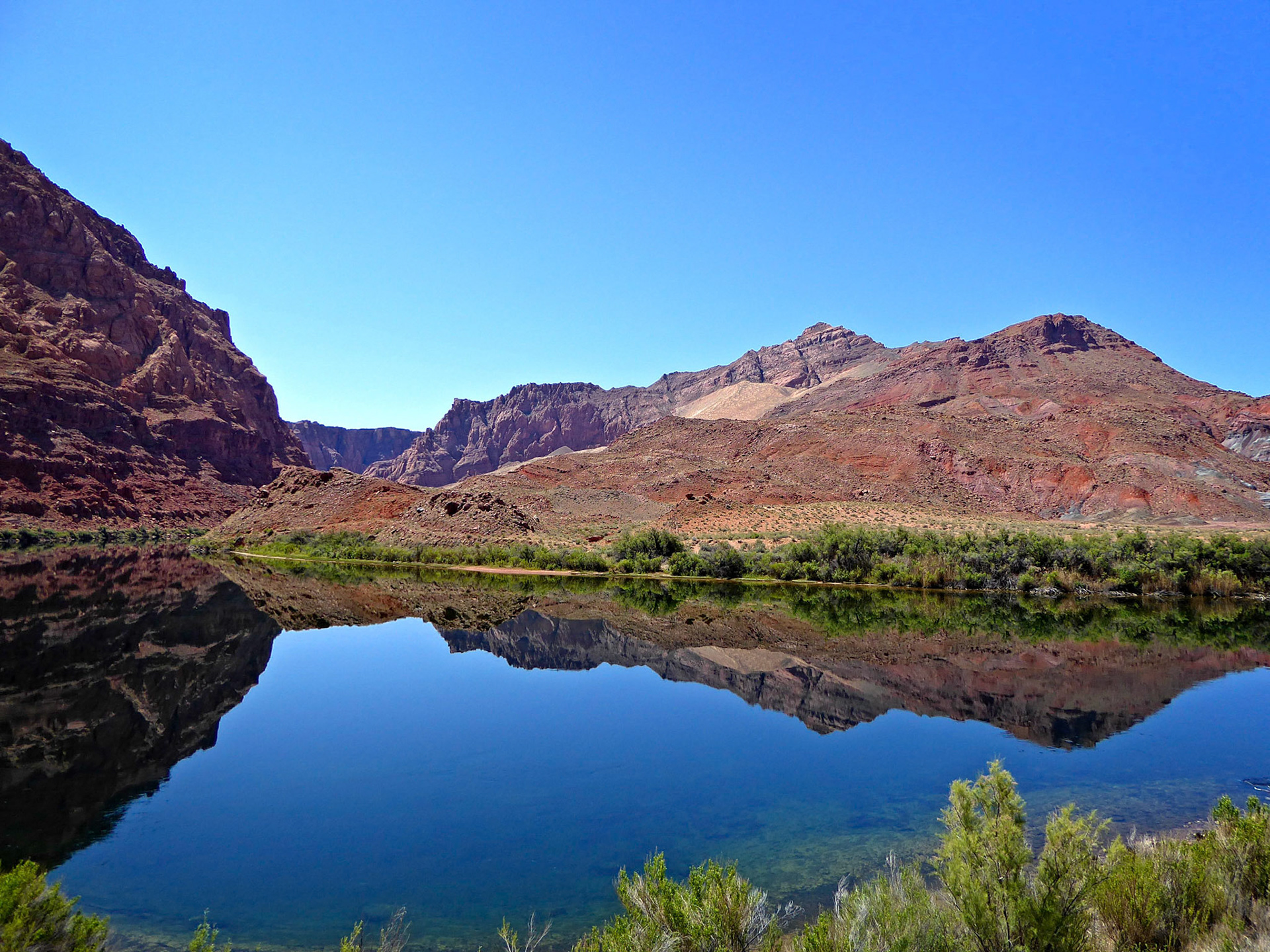 Calm reflections on the Colorado River at Lees Ferry, Arizona.