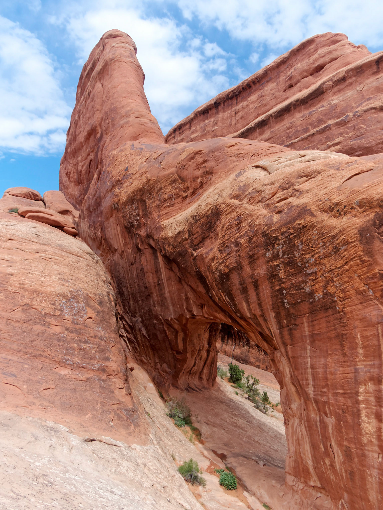 Off the main Primitive Trail is a side path to Private Arch.